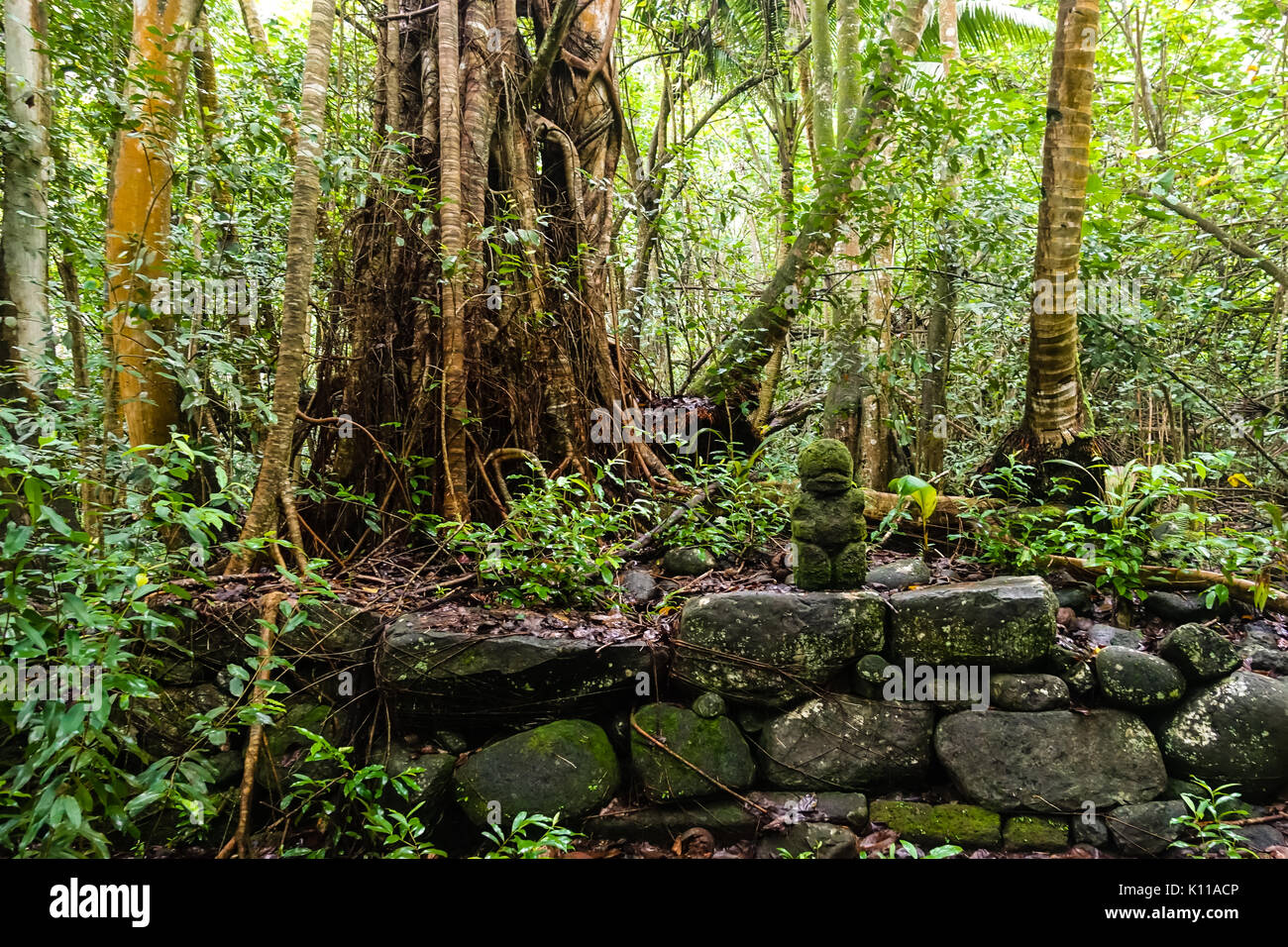 Tiki statua sull'escursione a Vaipo waterfal la cascata più grande in Polinesia al di fuori della Nuova Zelanda. Sull'isola di Nuku Hiva delle Marquesas Foto Stock