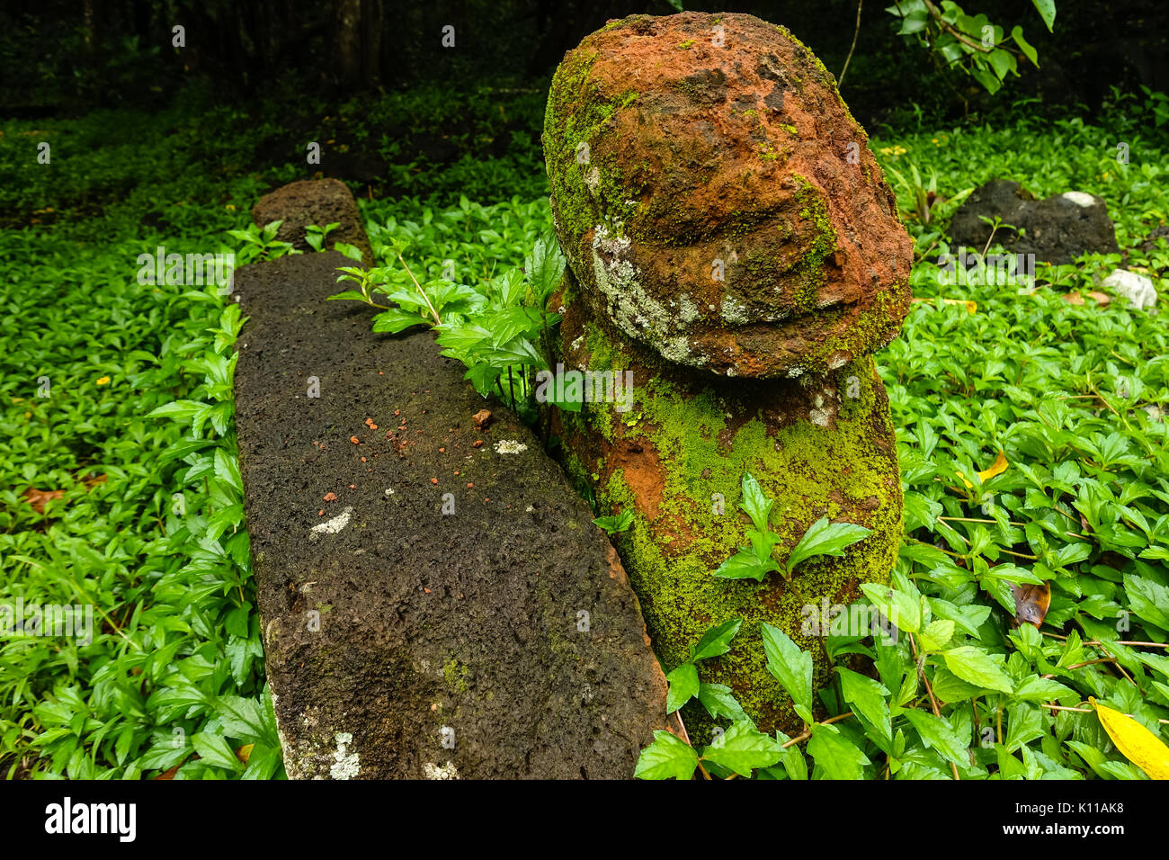 Tiki statua sull'escursione a Vaipo waterfal la cascata più grande in Polinesia al di fuori della Nuova Zelanda. Sull'isola di Nuku Hiva delle Marquesas Foto Stock