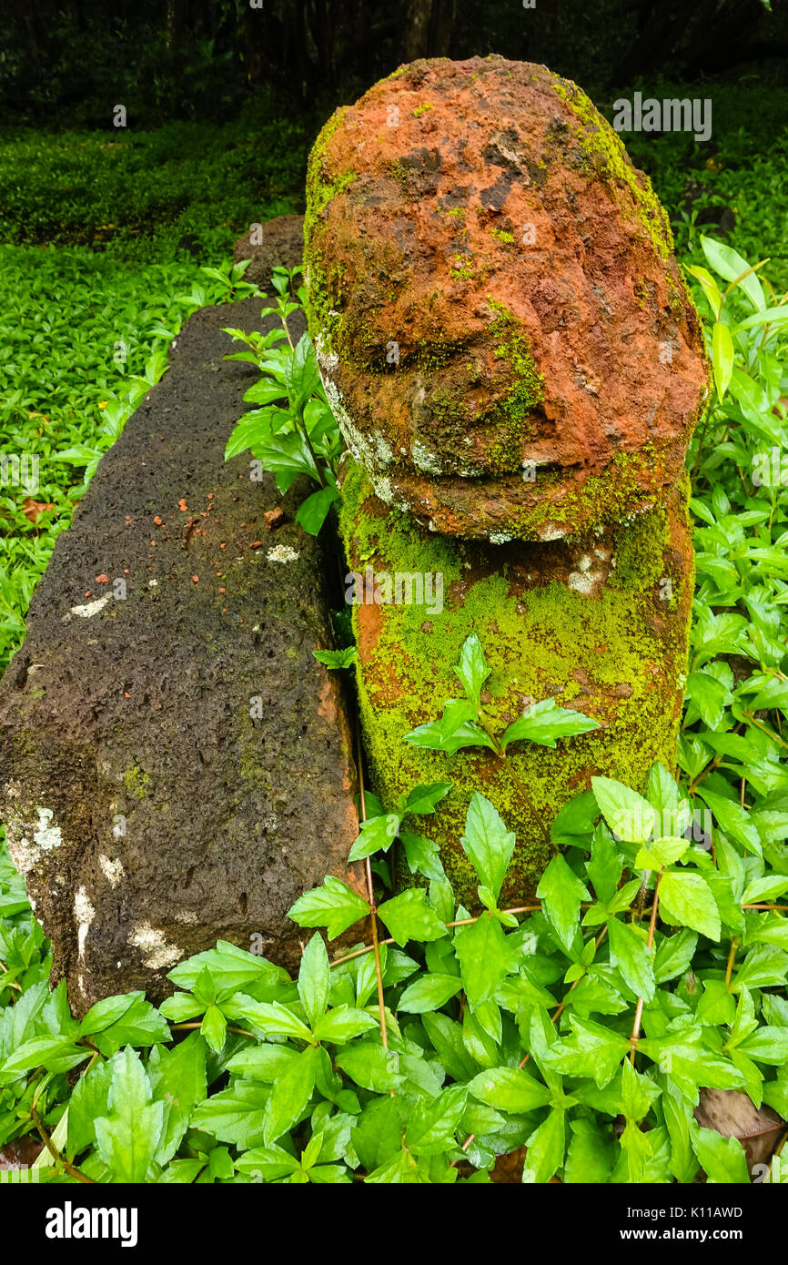 Tiki statua sull'escursione a Vaipo waterfal la cascata più grande in Polinesia al di fuori della Nuova Zelanda. Sull'isola di Nuku Hiva delle Marquesas Foto Stock