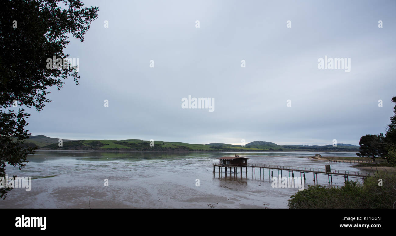 Dock lungo con grande tettoia si estende nella baia per attracco barche da pesca e di cernita e di imballaggio visto di cattura a bassa marea Foto Stock