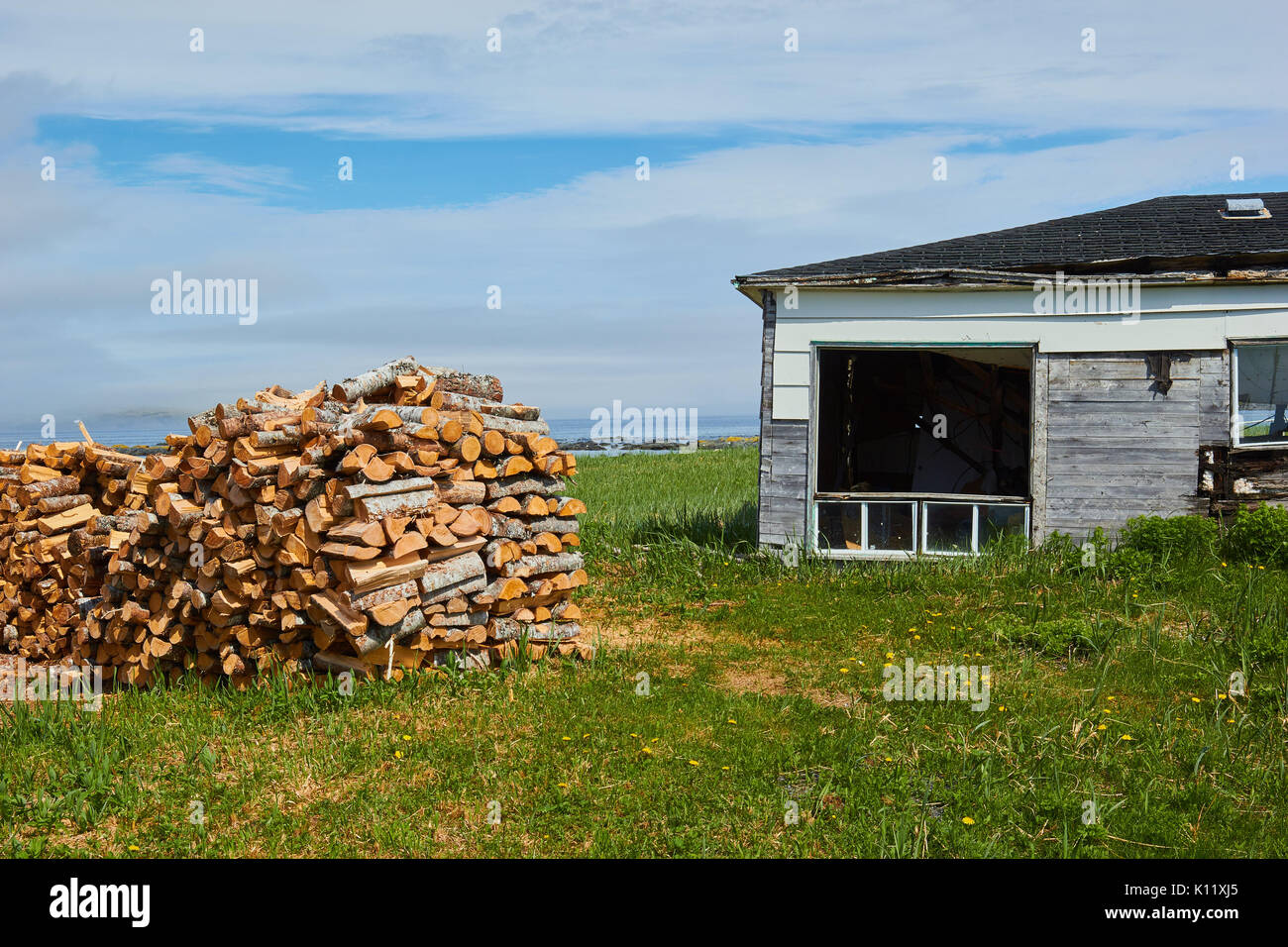 Pila di tronchi accanto alla casa abbandonata dall'Oceano Atlantico, Terranova, Canada Foto Stock