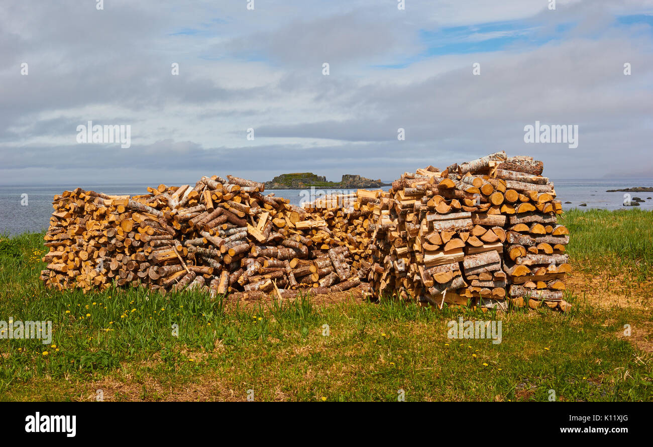 Pila di registri, Terranova, Canada Foto Stock