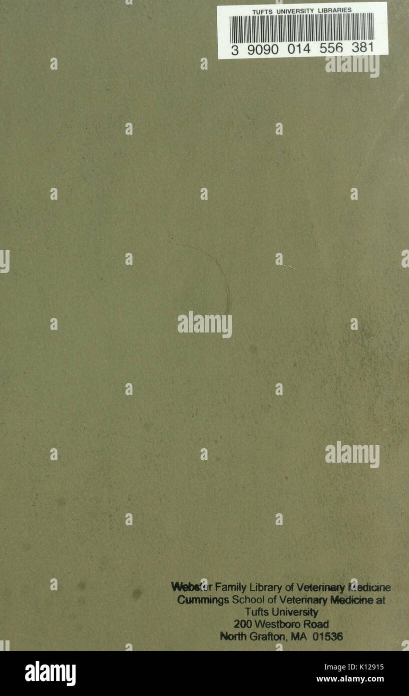 Un Americano quattro in mano in Gran Bretagna17513646 BHL Foto Stock