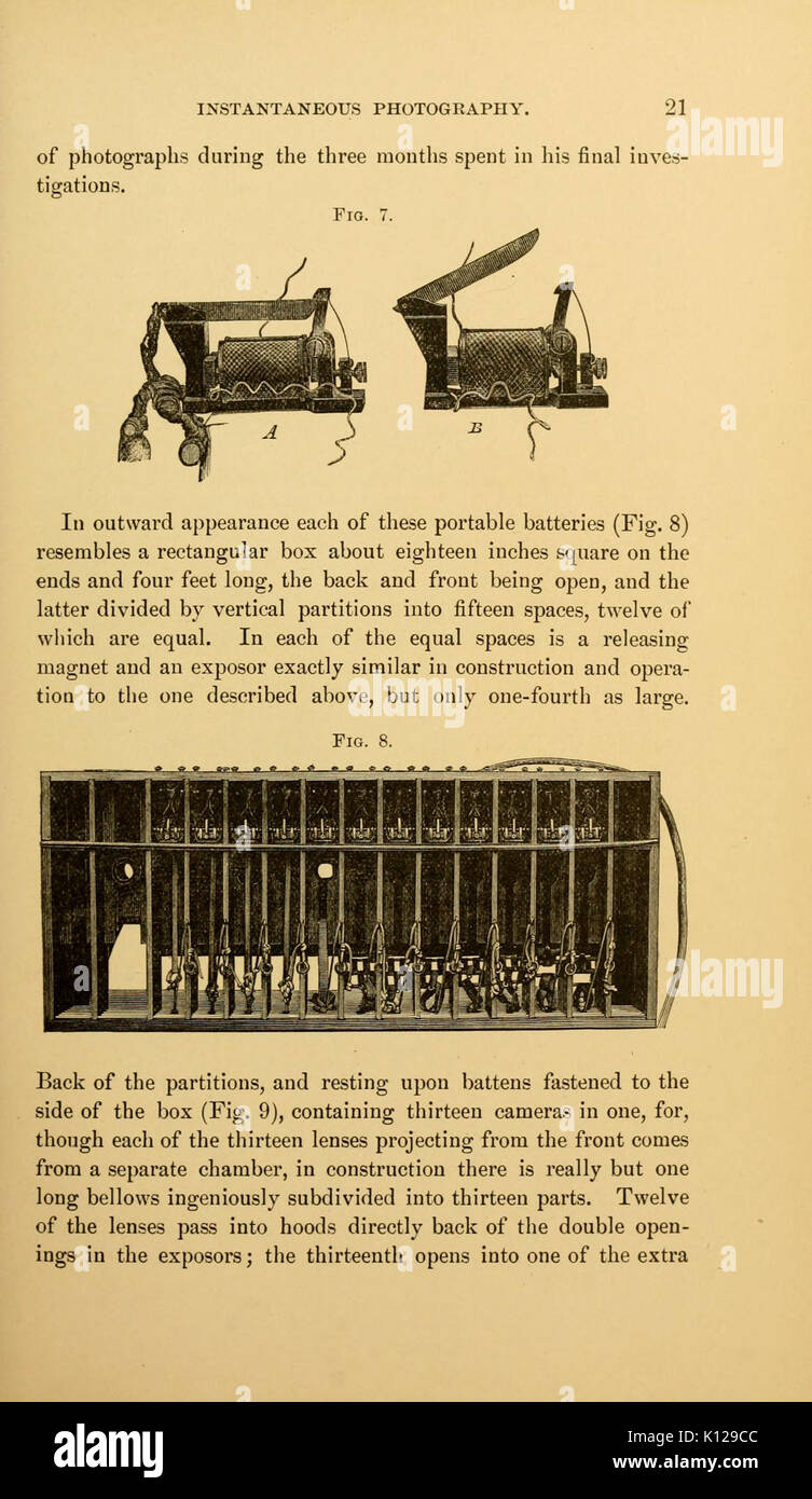 Locomozione animale (pagina 21) BHL21238649 Foto Stock