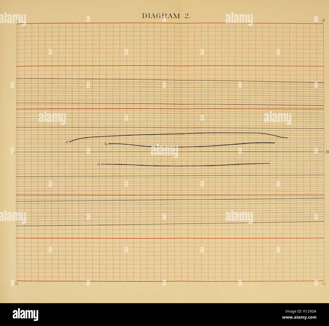 Locomozione animale BHL21238758 Foto Stock