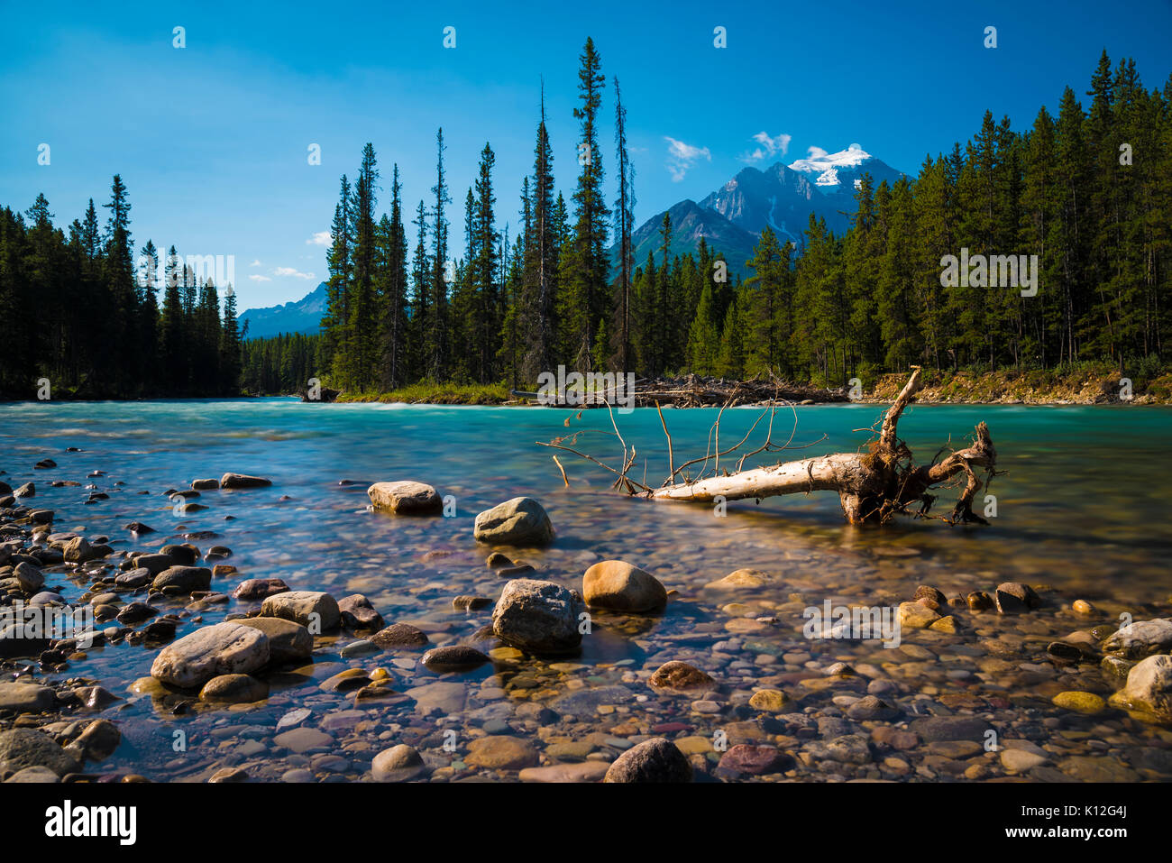 Il Fiume Bow vicino al Lago Louise, il Parco Nazionale di Banff, Alberta, Canada Foto Stock