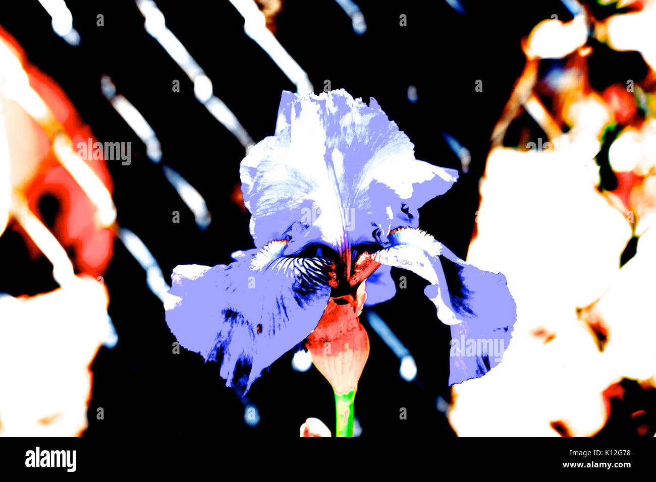 In realtà si tratta di un molto le immagini sono sovraesposte e messa in moto fino ai livelli reso glow (graziosamente 26356868290) Foto Stock