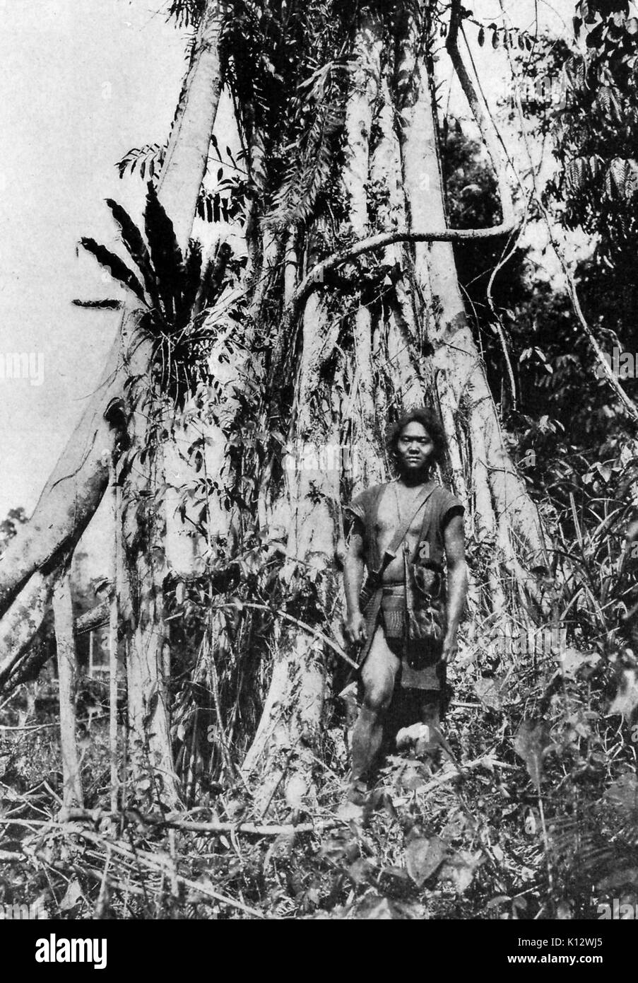Tribesman Mishmi nella foresta di Dibru ai piedi di un enorme albero di ficus, India, 1922. Foto Stock