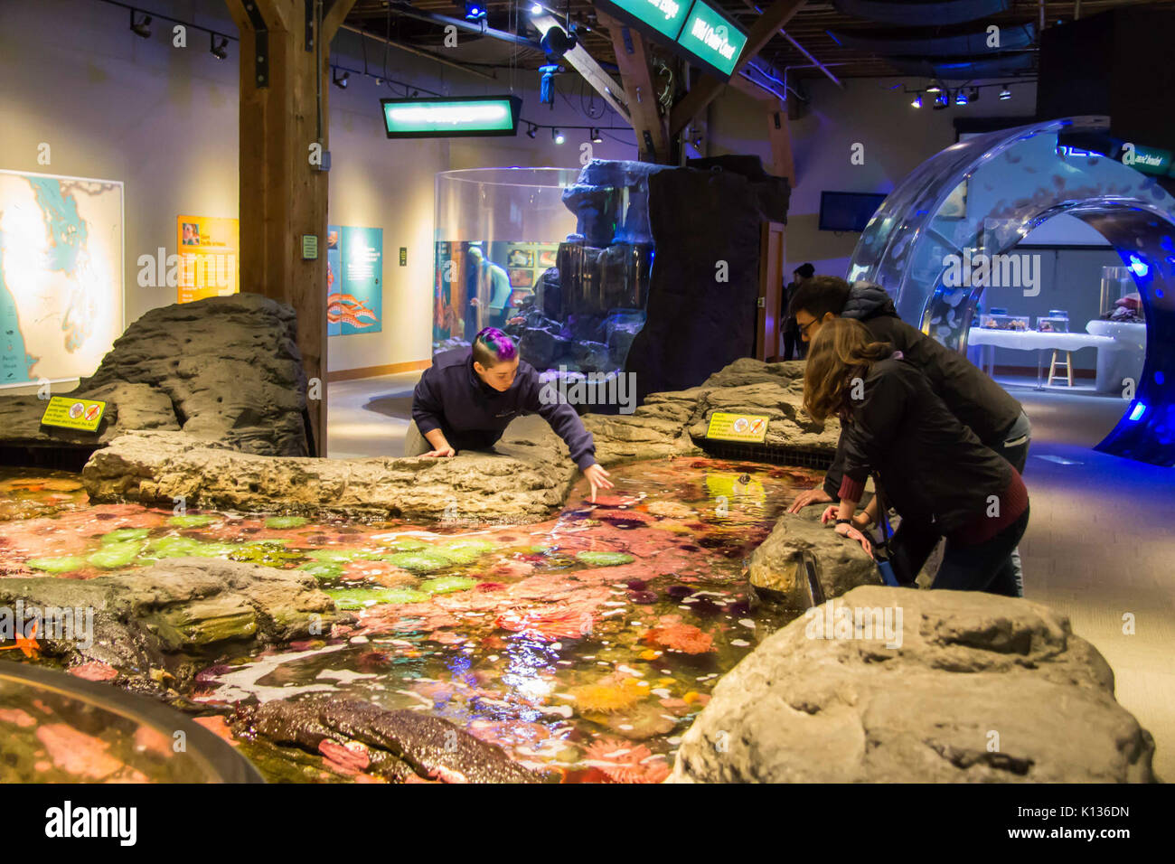 Acquario Tour (31200198422) Foto Stock