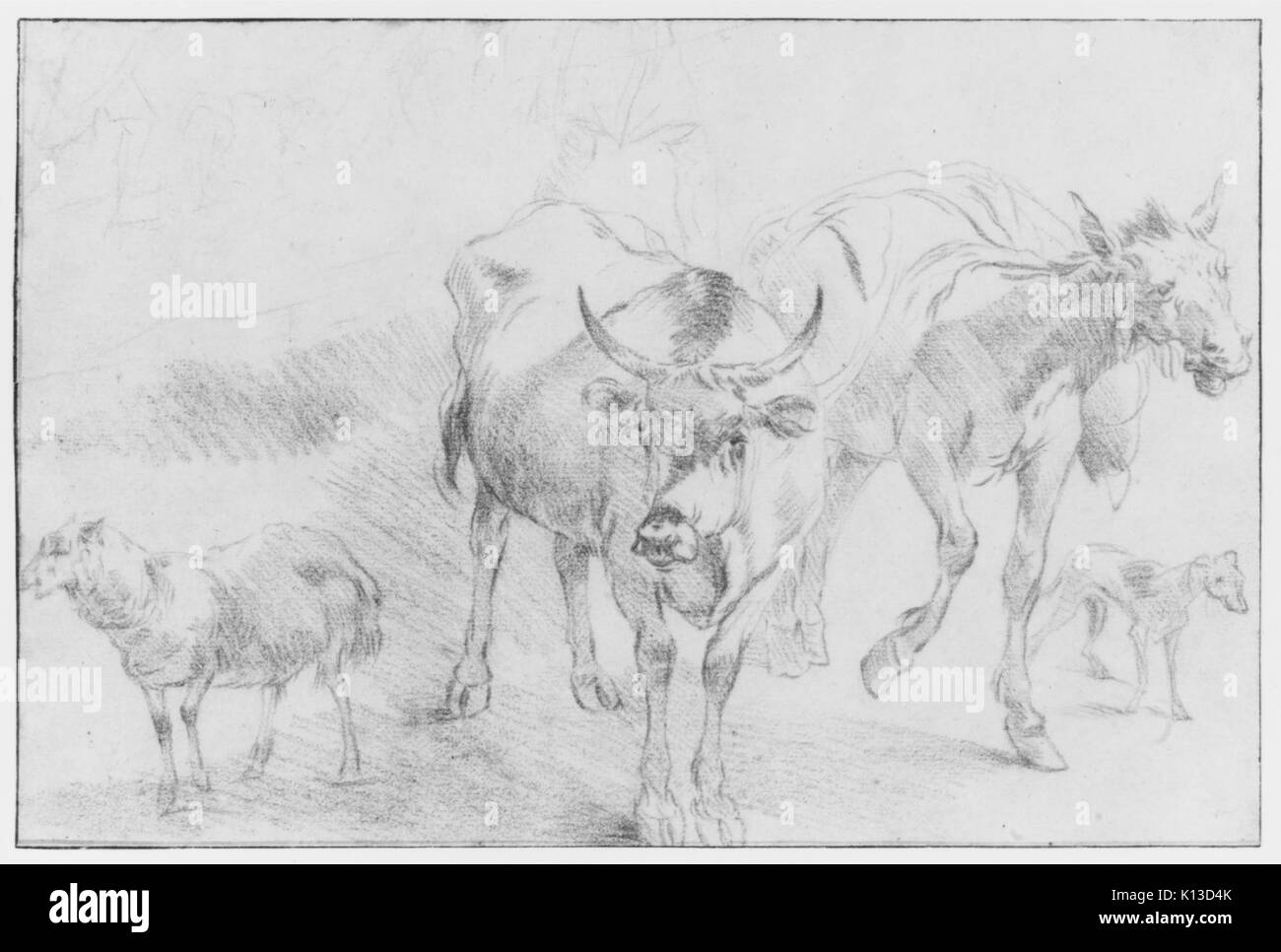 Gli studi sugli animali incontrati 263503 Foto Stock