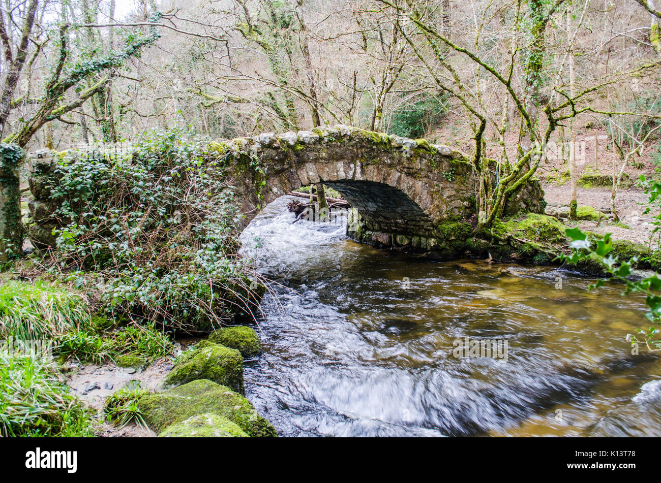 Packhorse ponte a destra Foto Stock