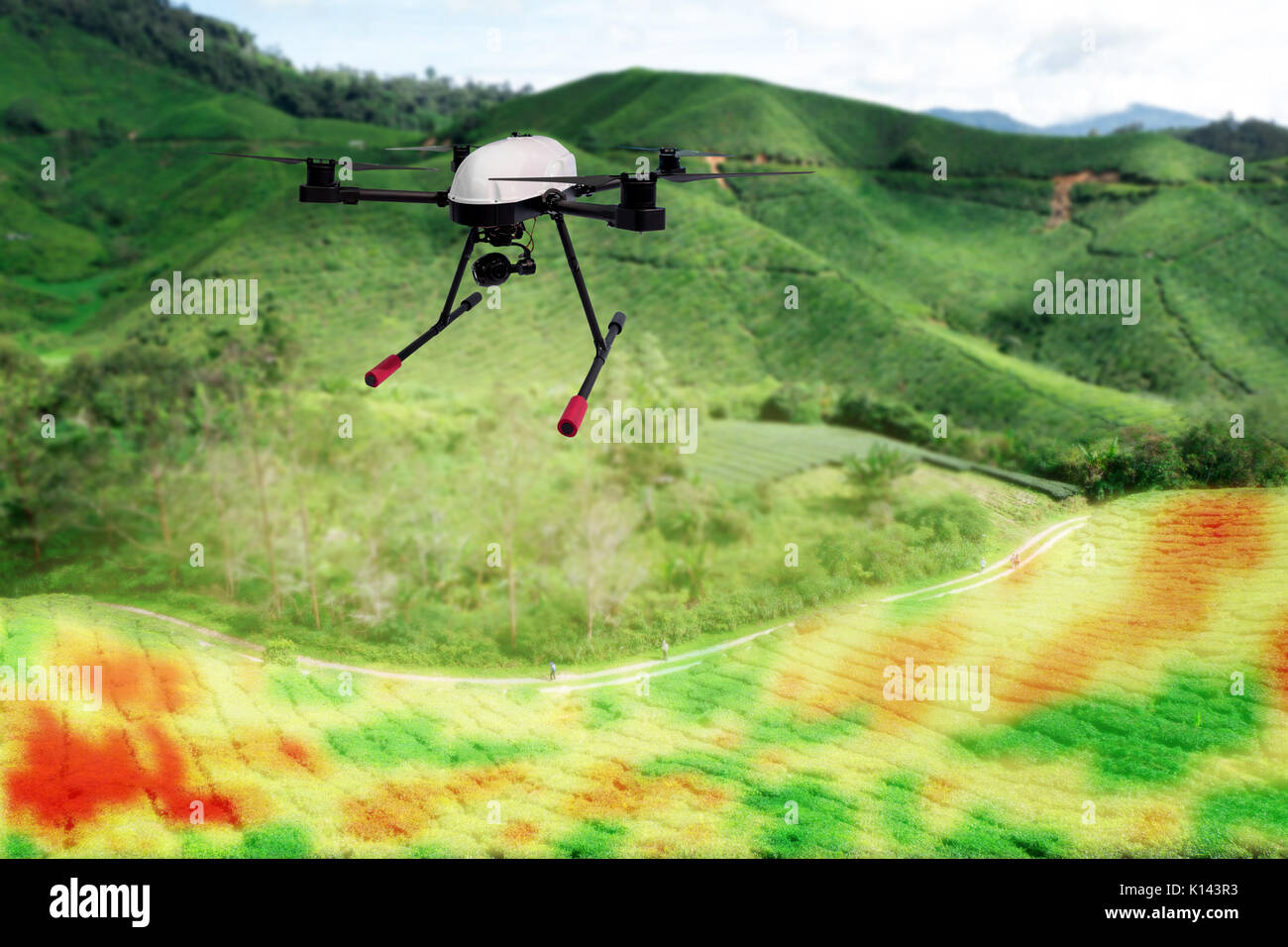 Smart agricoltura , agriturismo , precision farming concetto. Drone e NIR immagini dello schermo dell'applicazione utilizzata per creare il campo di mappe di salute per normalizzare differenc Foto Stock Smart agricoltura , agriturismo , precision farming concetto. Drone e NIR immagini dello schermo dell'applicazione utilizzata per creare il campo di mappe di salute per normalizzare differenc Foto Stock