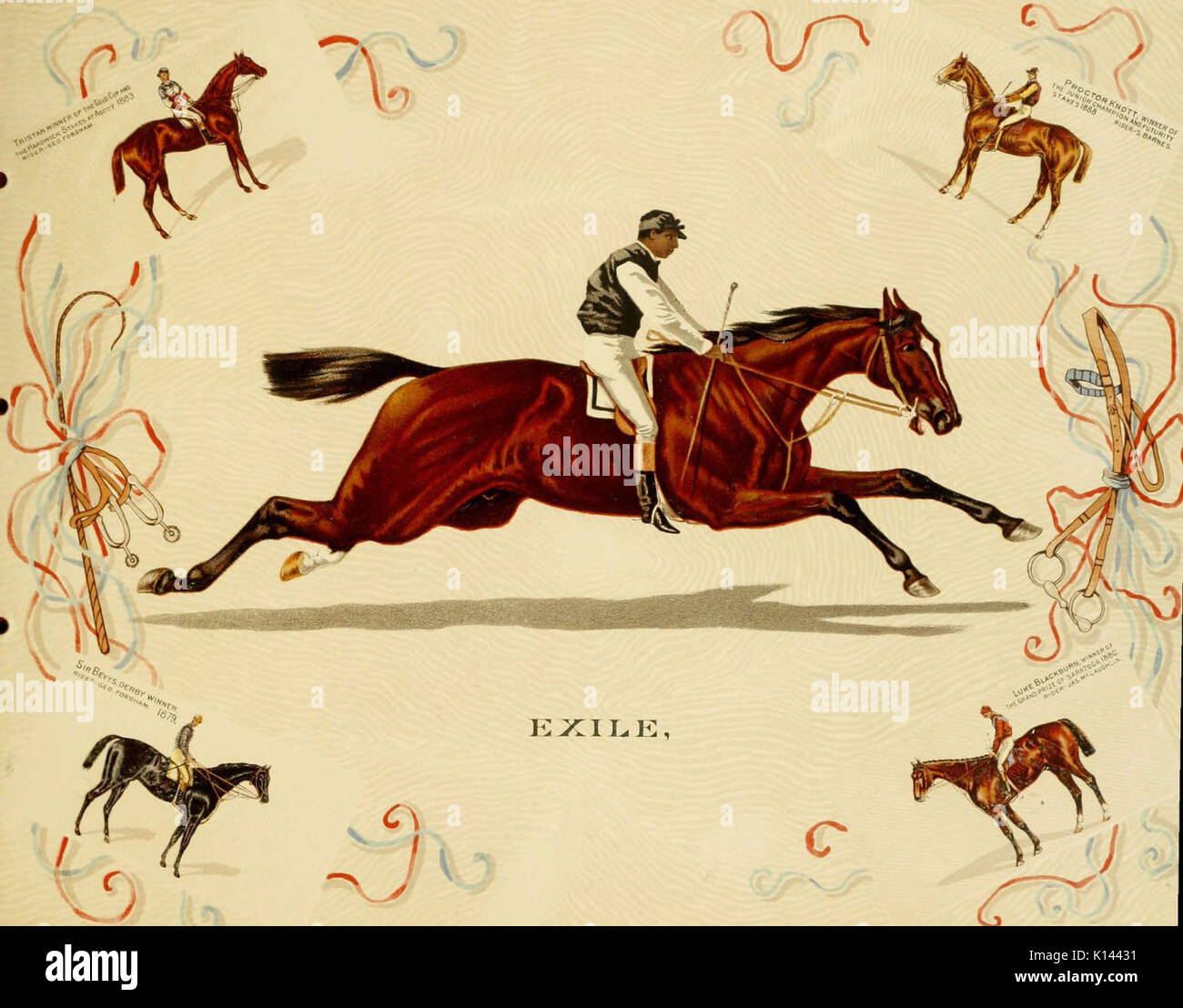 Album del celebrato americano e inglese cavalli in corsa (piastra 9) (6012487858) Foto Stock