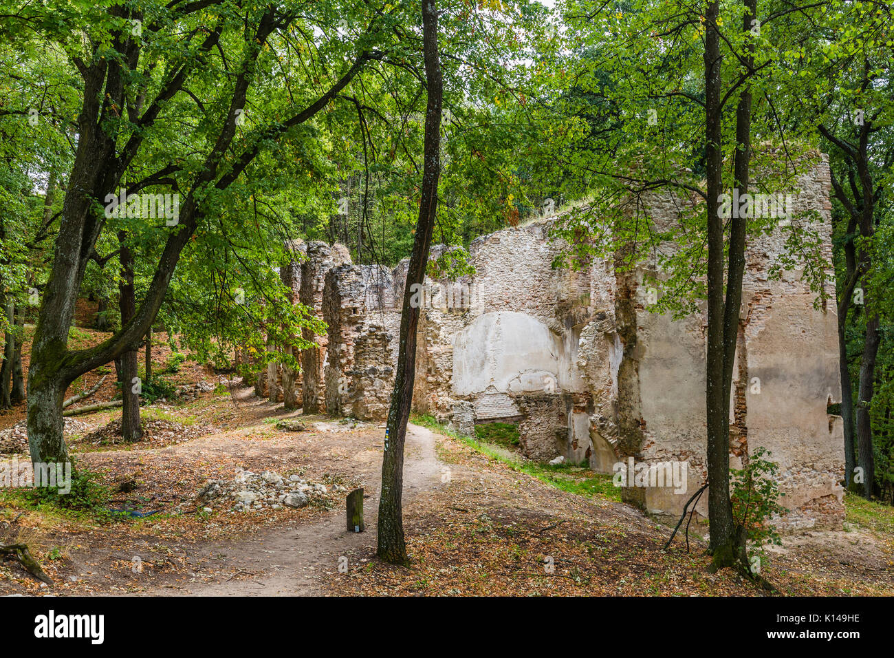 Rovine del monastero katarinka nelle foreste dei Carpazi al di sopra del villaggio di dechtice, Slovacchia Foto Stock