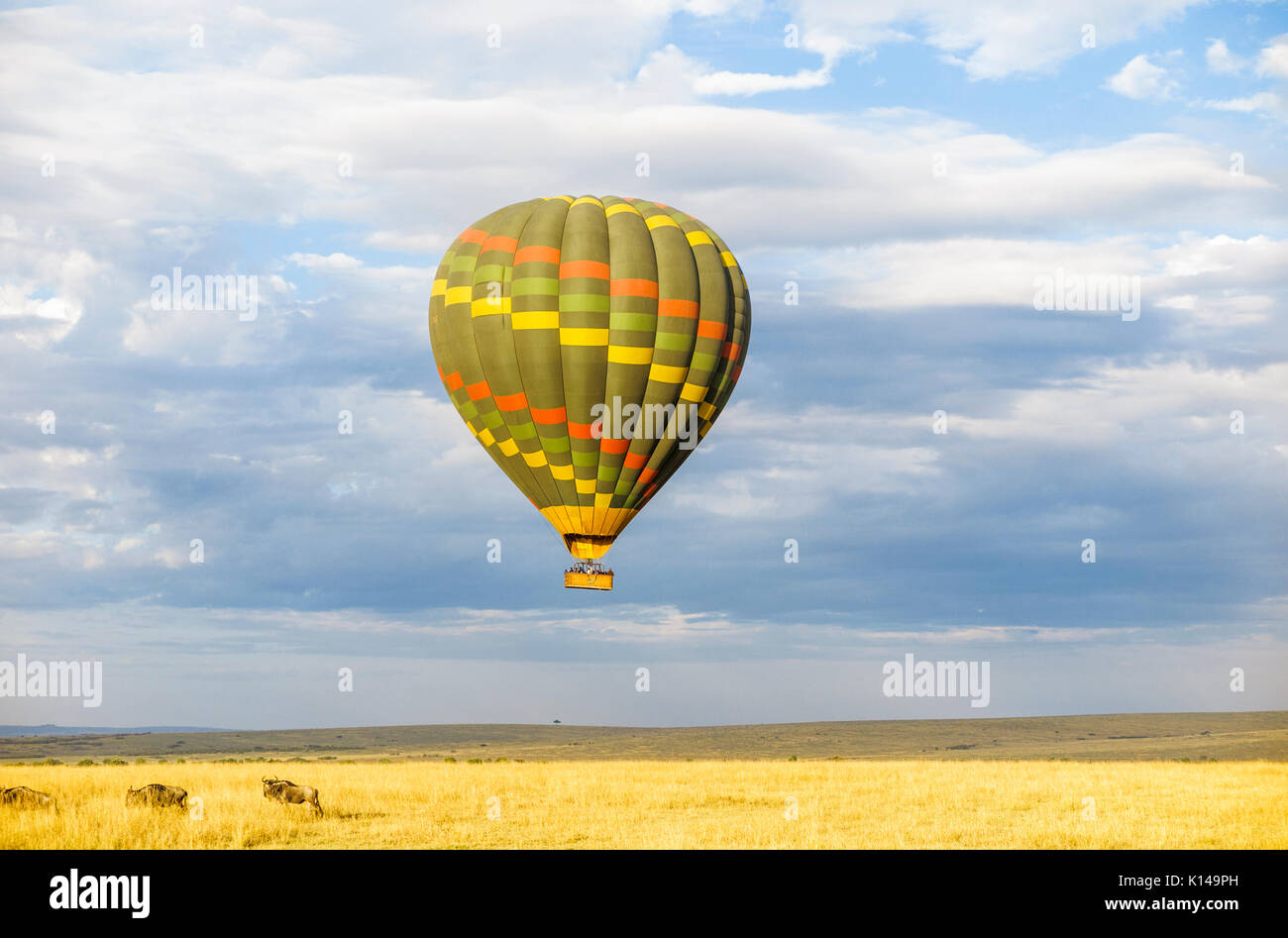 La mattina presto escursioni e safari la visione di gioco da colorate di verde in mongolfiera sopra la pianura di Savannah nel Masai Mara, Kenya Foto Stock
