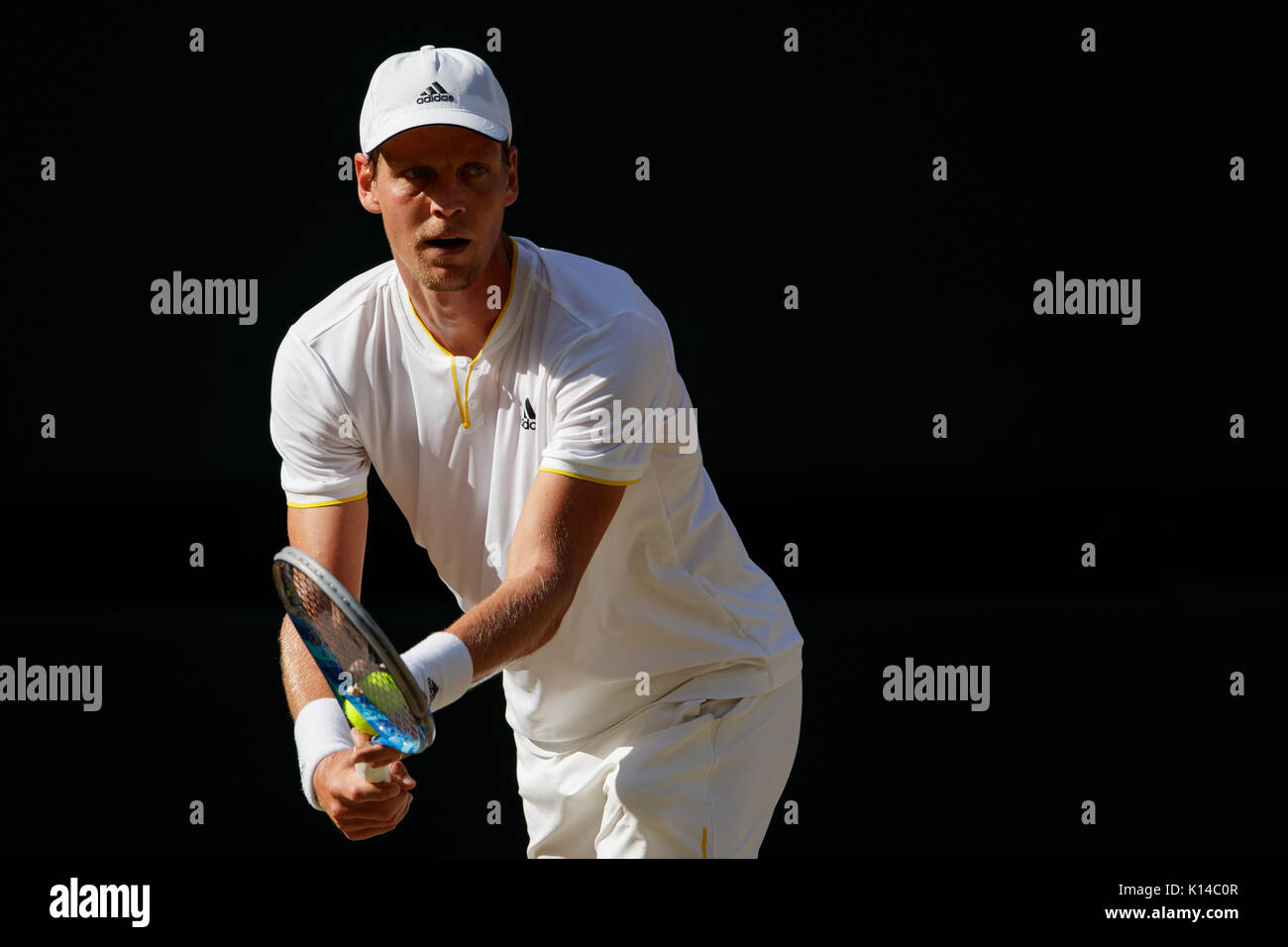 Tomas BERDYCH della Repubblica ceca al singolo maschile - campionati di Wimbledon 2017 Foto Stock