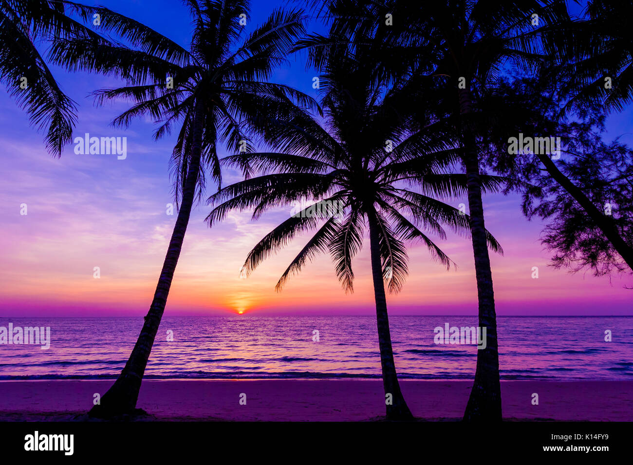 Palme silhouette al tramonto. Sunset beach e. Bel tramonto sul mare Foto Stock