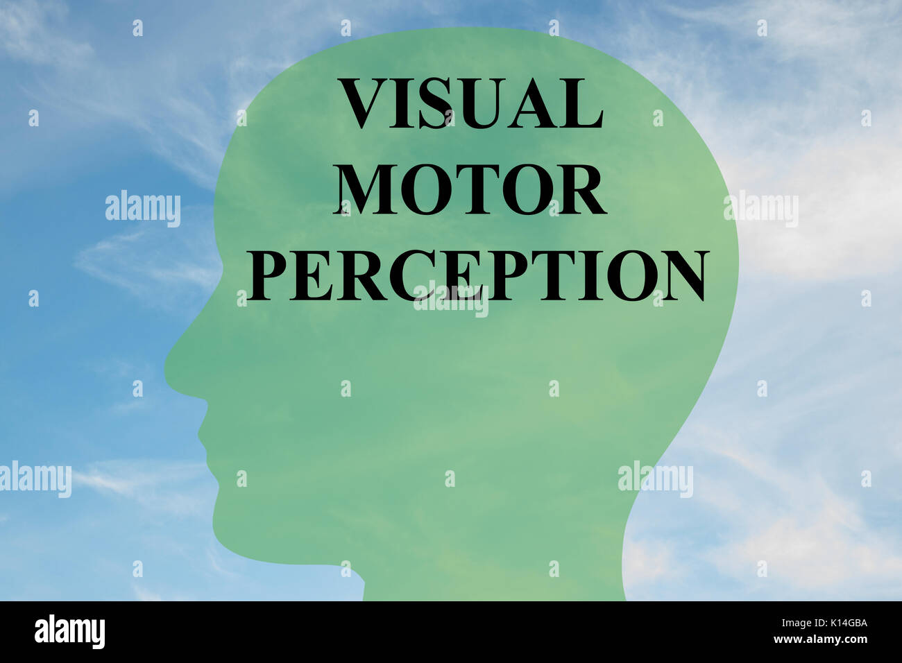 Il rendering di illustrazione di 'VISUAL PERCEZIONE DEL MOTORE' script sulla silhouette di testa, con cielo nuvoloso come sfondo. Foto Stock