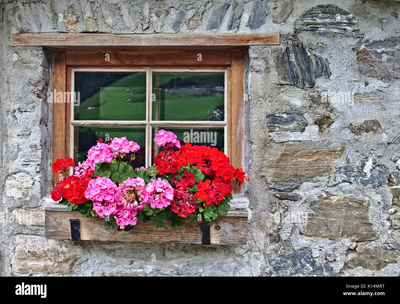 La parete di una vecchia fattoria casa fatta di pietre di campo con finestra e rosso brillante fiori Foto Stock
