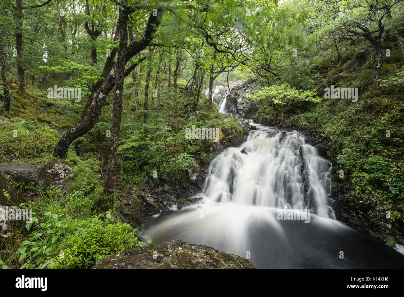 Rhaeadr Ddu cascate, Ganllwydd, Coed Ganllwydd Riserva Naturale Nazionale, Parco Nazionale di Snowdonia, Gwynedd, Wales, Regno Unito Foto Stock