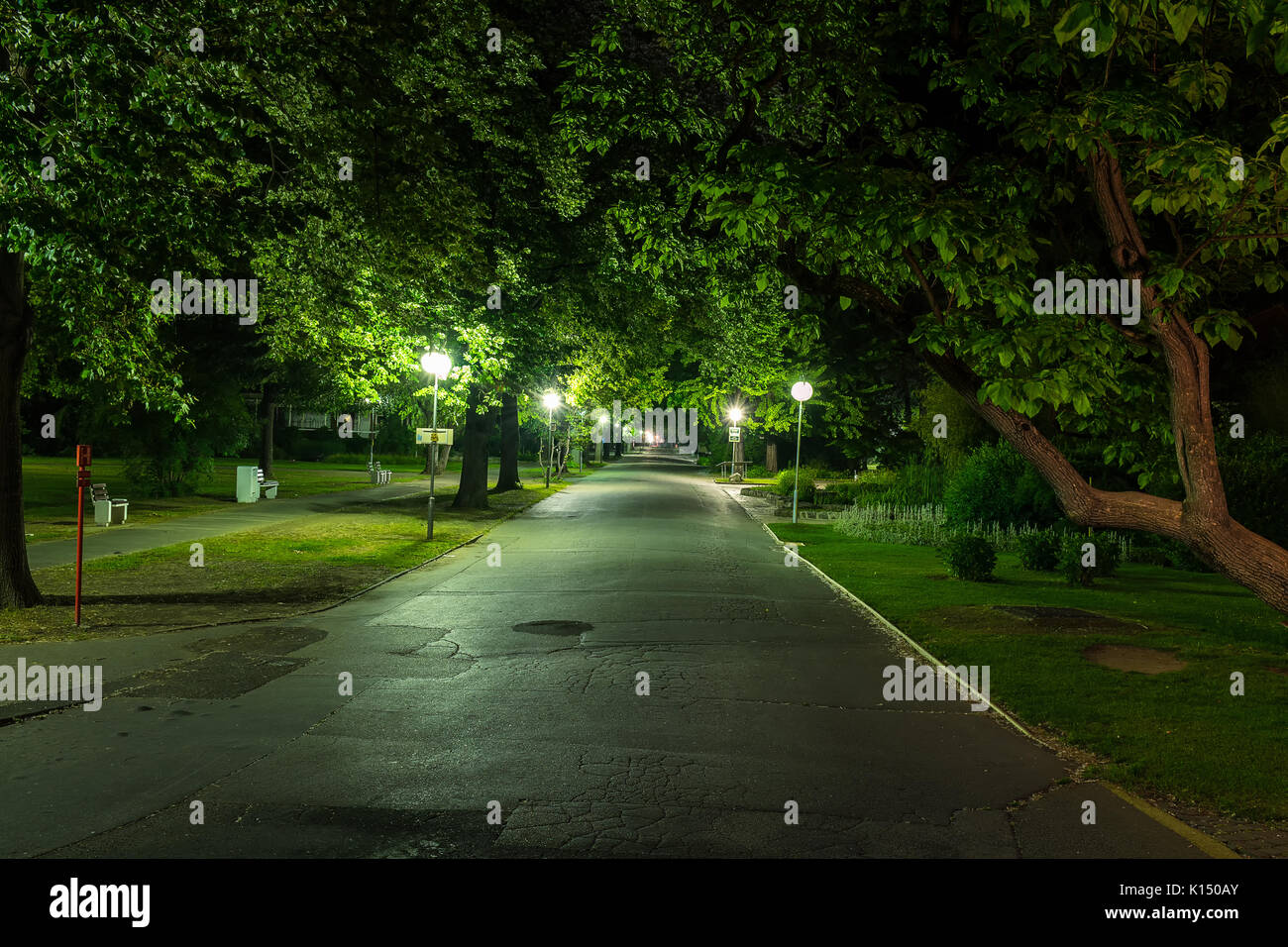 Parco con luci di strada in Piestany (Slovacchia) nella notte con n. di persone intorno a Foto Stock