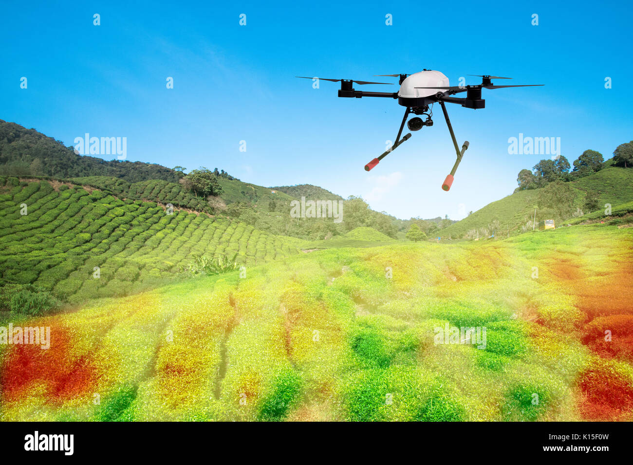 Smart agricoltura , agriturismo , precision farming concetto. Drone e NIR immagini dello schermo dell'applicazione utilizzata per creare il campo di mappe di salute per normalizzare differenc Foto Stock Smart agricoltura , agriturismo , precision farming concetto. Drone e NIR immagini dello schermo dell'applicazione utilizzata per creare il campo di mappe di salute per normalizzare differenc Foto Stock