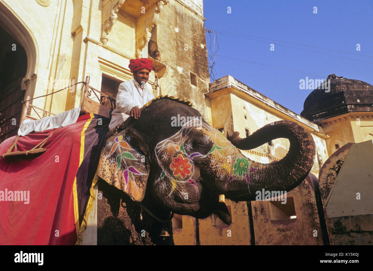 Decorate elefante a Amber (AMER) Fort, Amer, Rajasthan, India Foto Stock