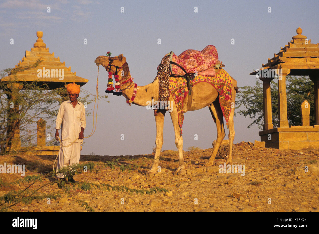 Uomo di Rajasthani con il cammello a bada Bagh royal cenotaphs, Jaisalmer, Rajasthan, India Foto Stock