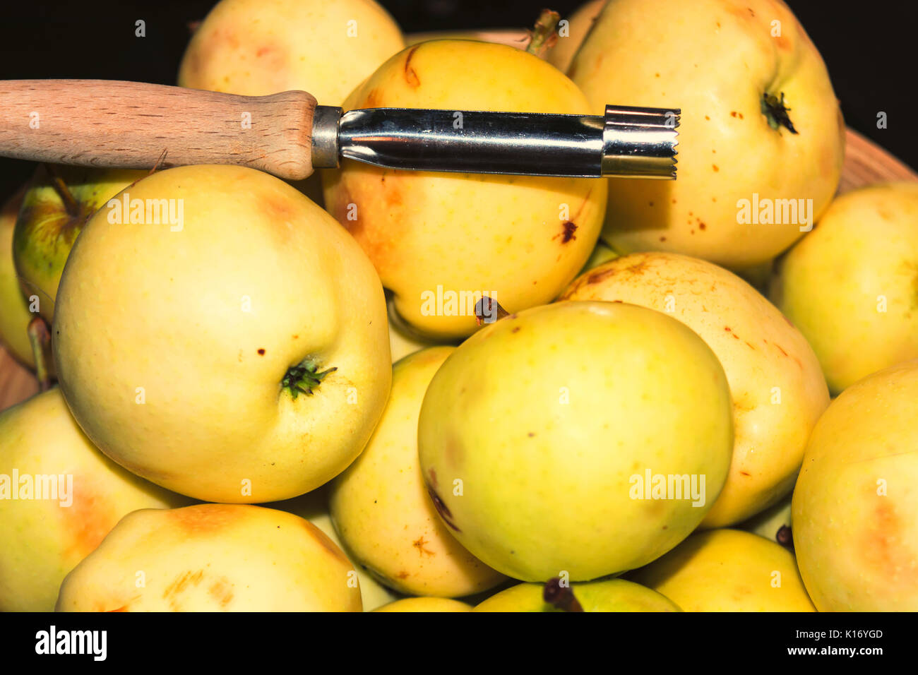 Naturale mele selvatiche cresciute. unione mela selvatica, Malus sylvestris. Foto Stock