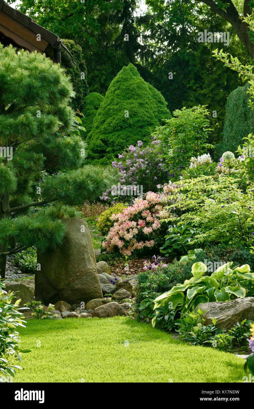 Dwarf alberta Abete (Picea glauca conica "'), lilla (syringa), rododendri (Rhododendron) e piantaggine gigli (hosta). design: marianne e detlef Foto Stock