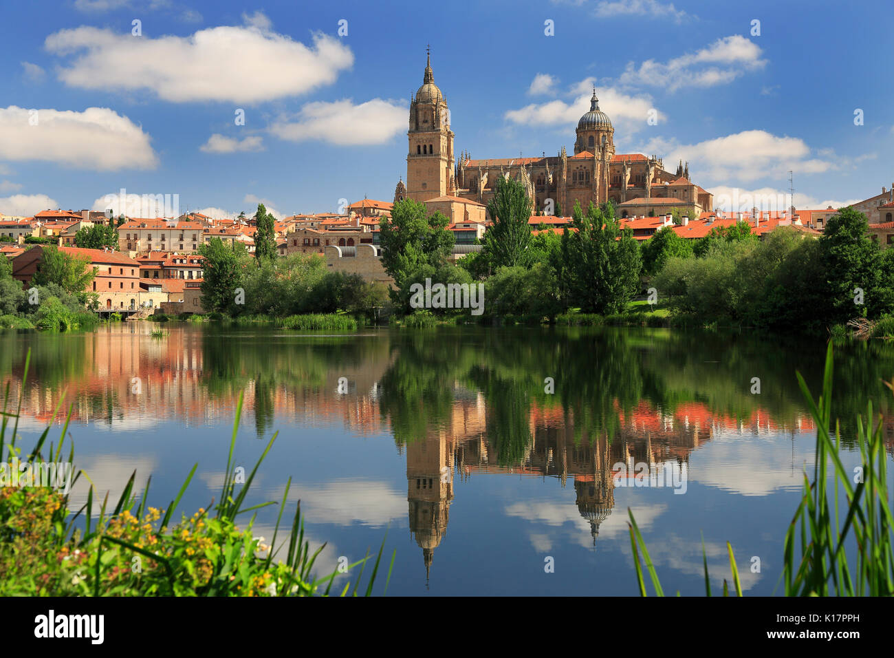 Salamanca vecchio e nuovo Cathedrales riflessa sul fiume Tormes, Spagna Foto Stock