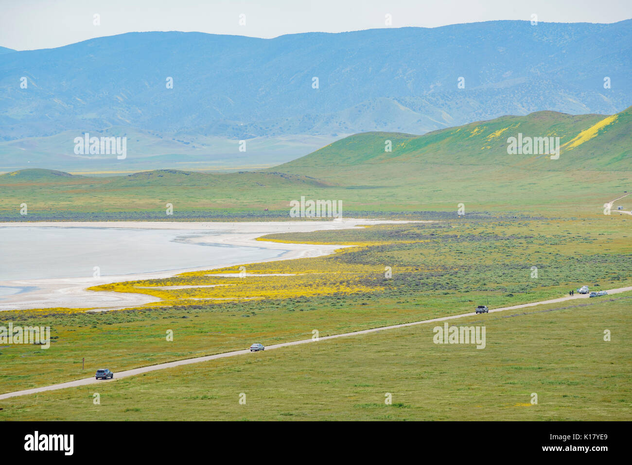 Bel colore giallo fiore goldifelds bel giallo goldifelds blossom con soda lago a Carrizo Plain monumento nazionale, California, U.S.A. Foto Stock