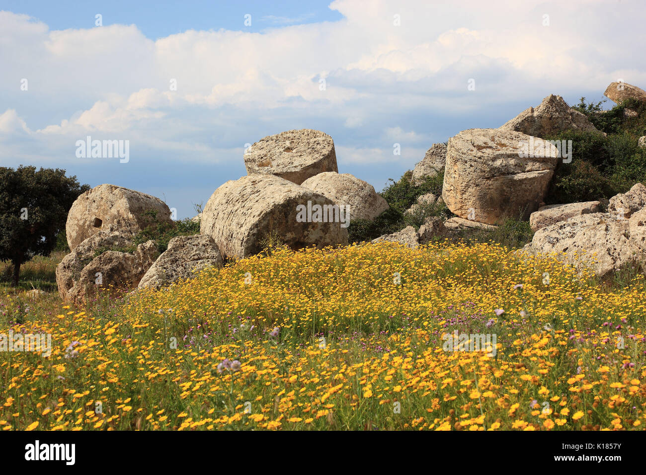 Sicilia, Selinunte, in scavo archeologico sito della provincia di Trapani Foto Stock