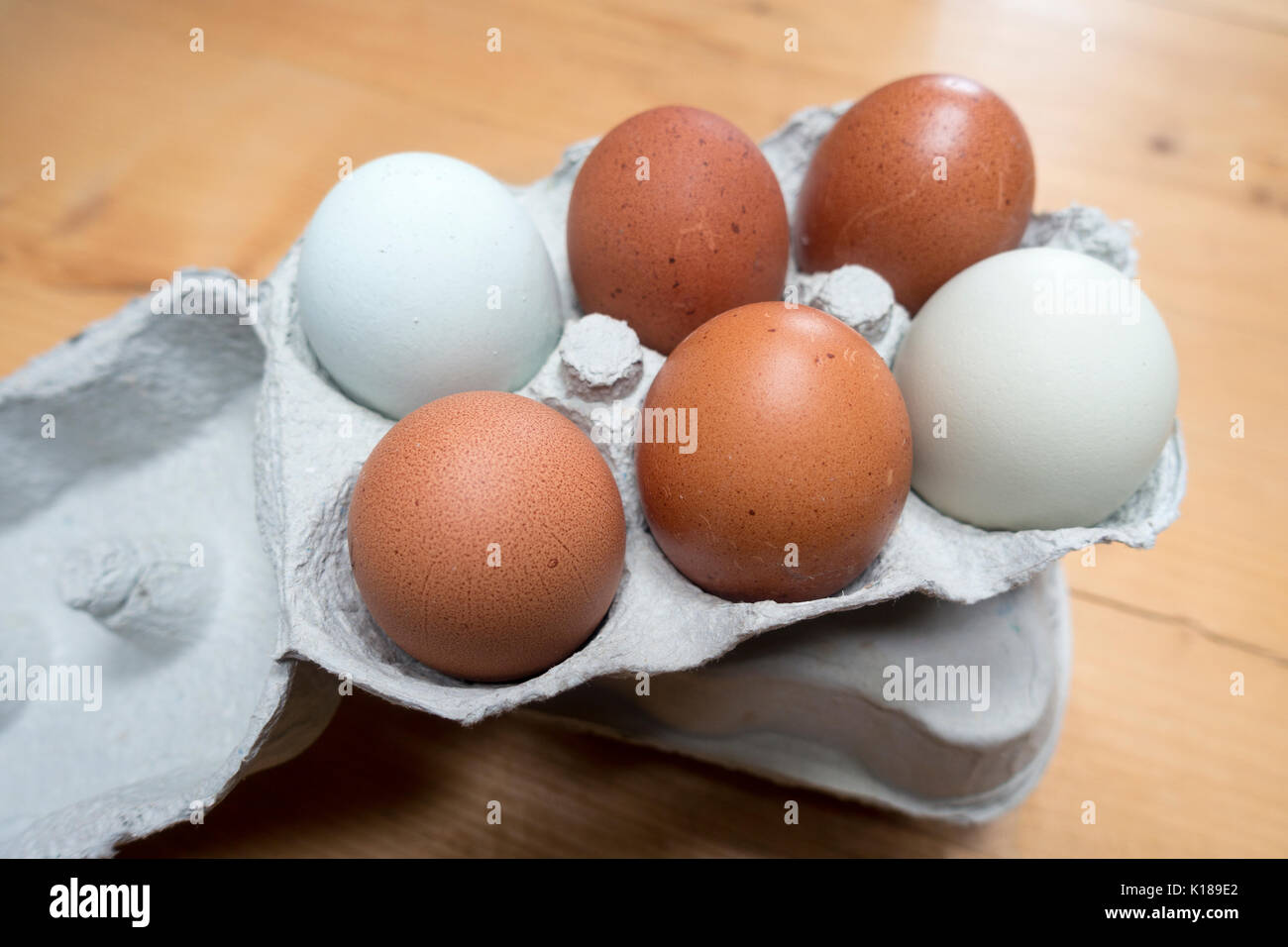 Sei nuovi free range egss variopinti o multicolore in due righe in un cartone uovo casella su un agricoltori tavolo da cucina, Flintshire, Wales, Regno Unito Foto Stock