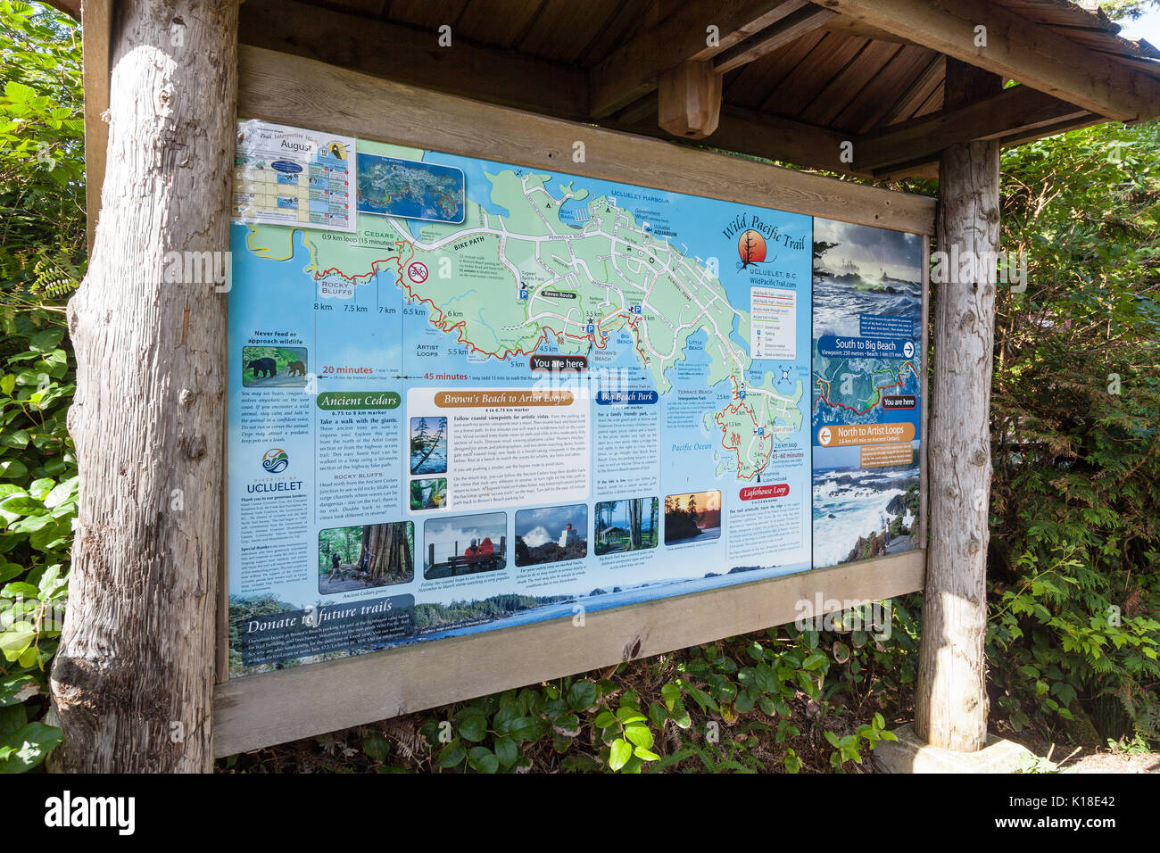 Una bacheca che delinea il Wild Pacific trail a Penisola Ucluelet Vancouver Island British Columbia Canada America del Nord Foto Stock