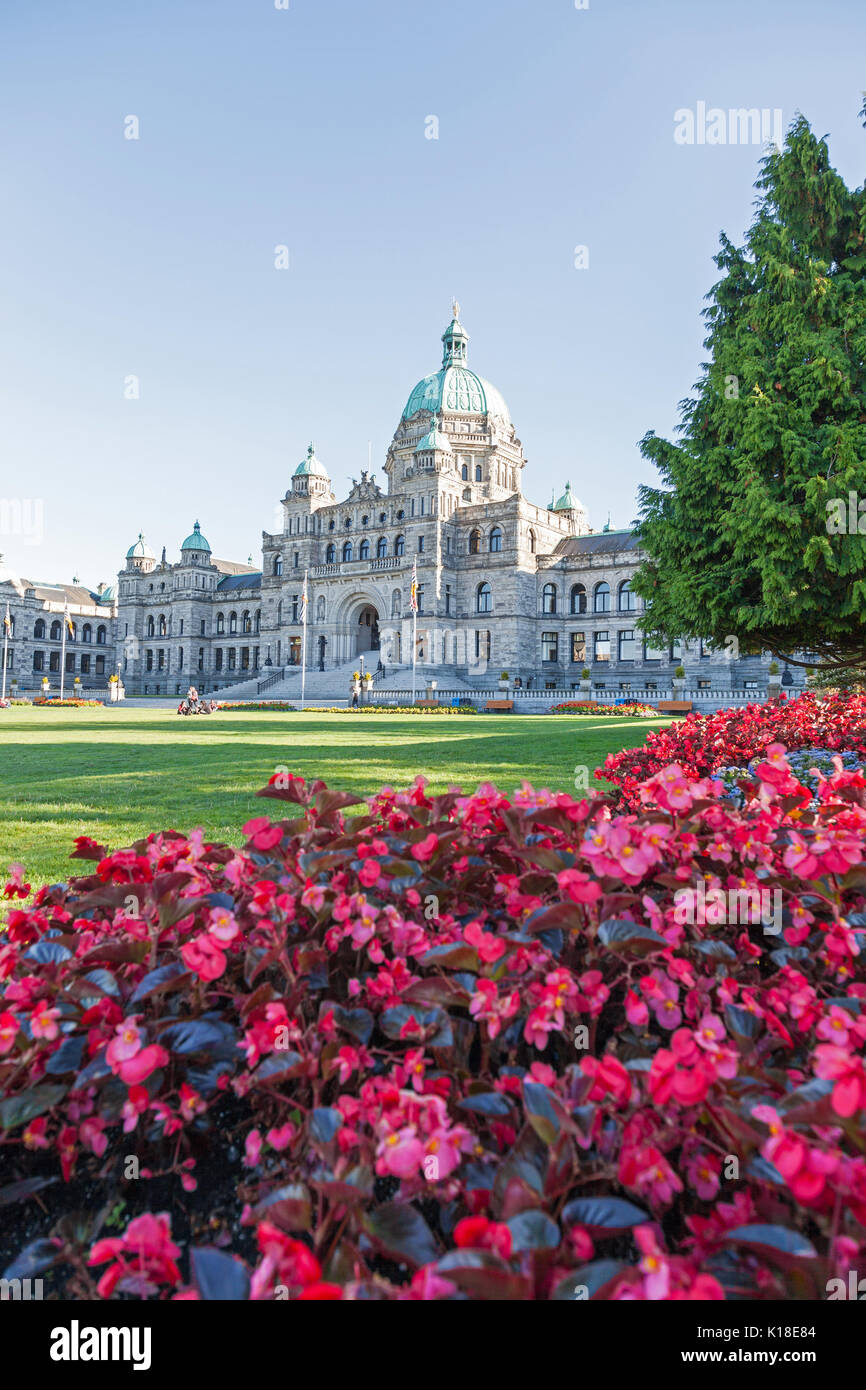 Red Begonia fiori di fronte gli edifici del Parlamento a Victoria, Canada, America del Nord Foto Stock