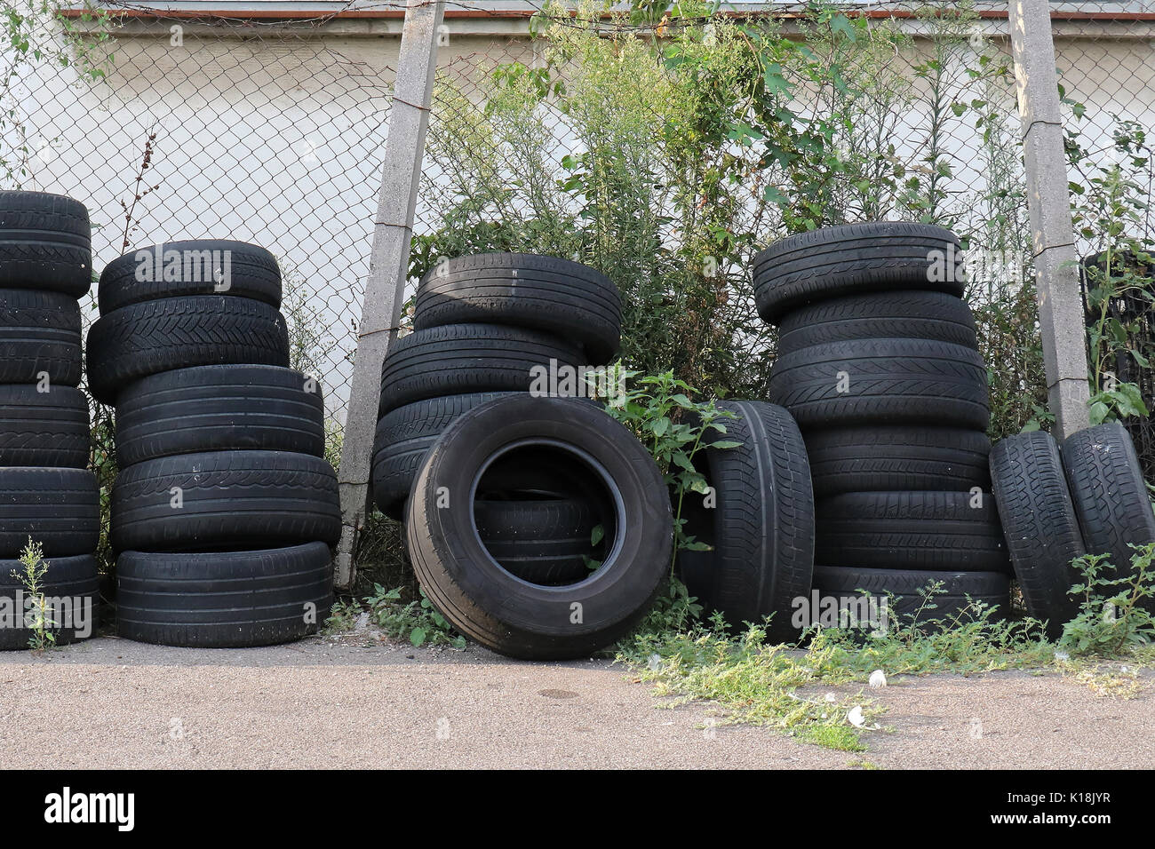 Gran mucchio di vecchi utilizzati pneumatici di automobili nel canneto al di fuori Foto Stock
