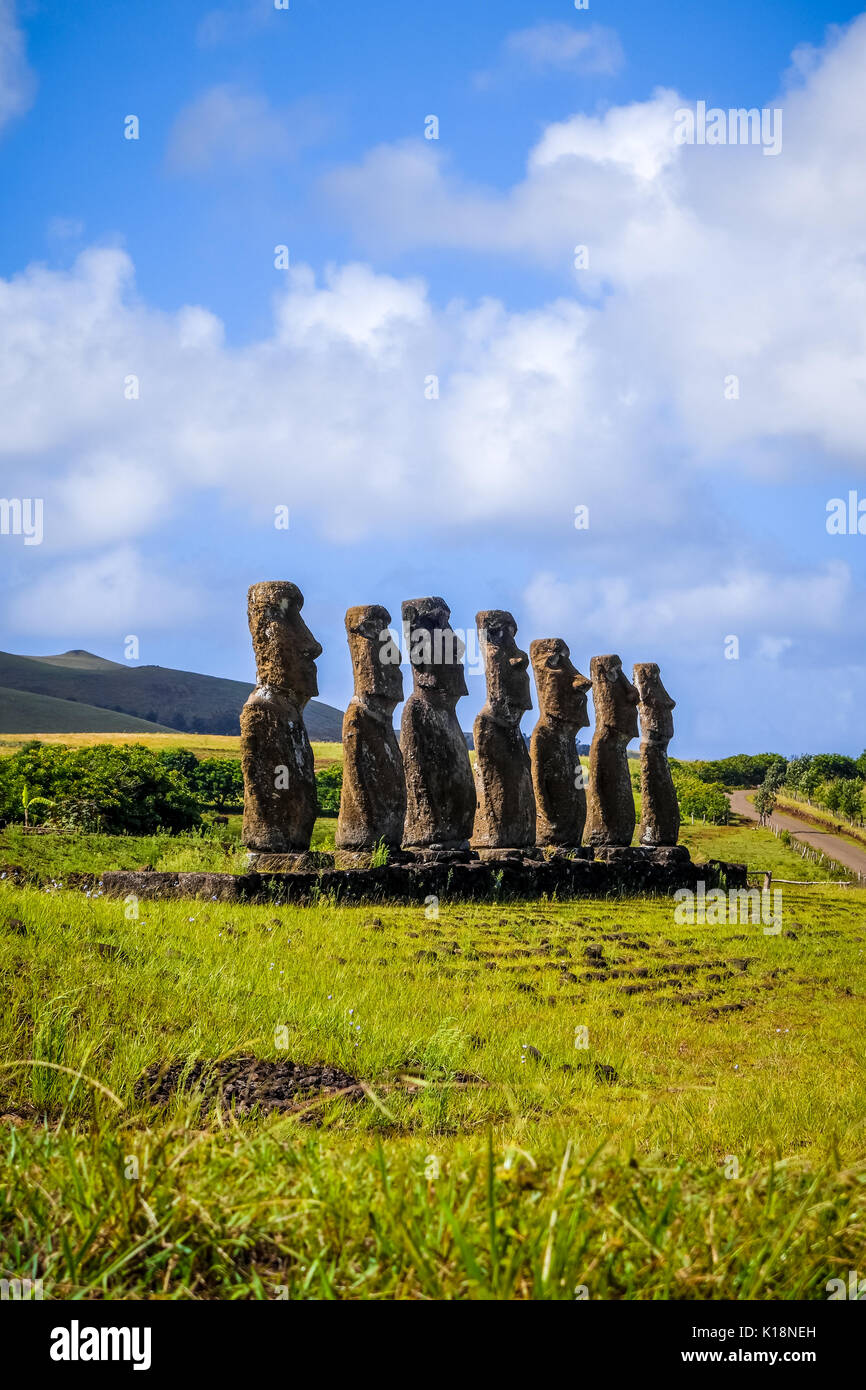 Moais statue, ahu Akivi, isola di pasqua, Cile Foto Stock