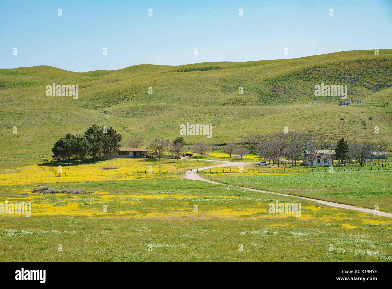 Casa con goldfields e montagna a Carrizo Plain monumento nazionale Foto Stock