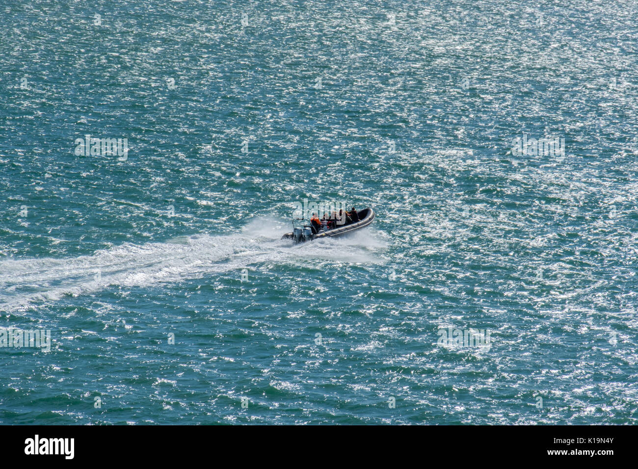 Imbarcazione turistica accelerando attraverso Ramsey Suono da St Giustiniano verso Ramsey Island, Pembrokeshire, Wales, Regno Unito Foto Stock