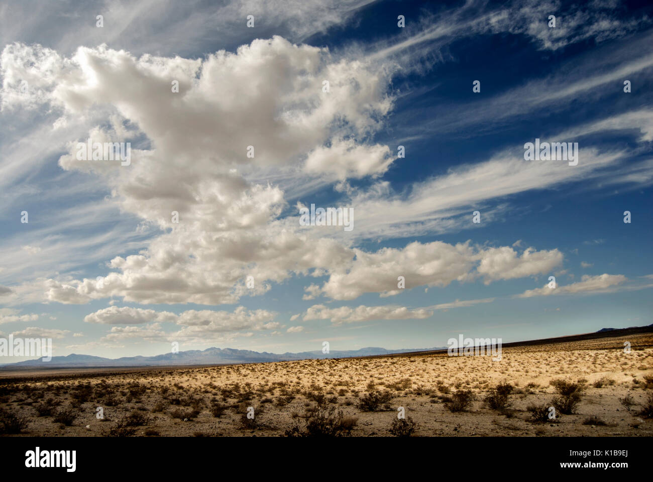 Windy scena nel deserto Foto Stock