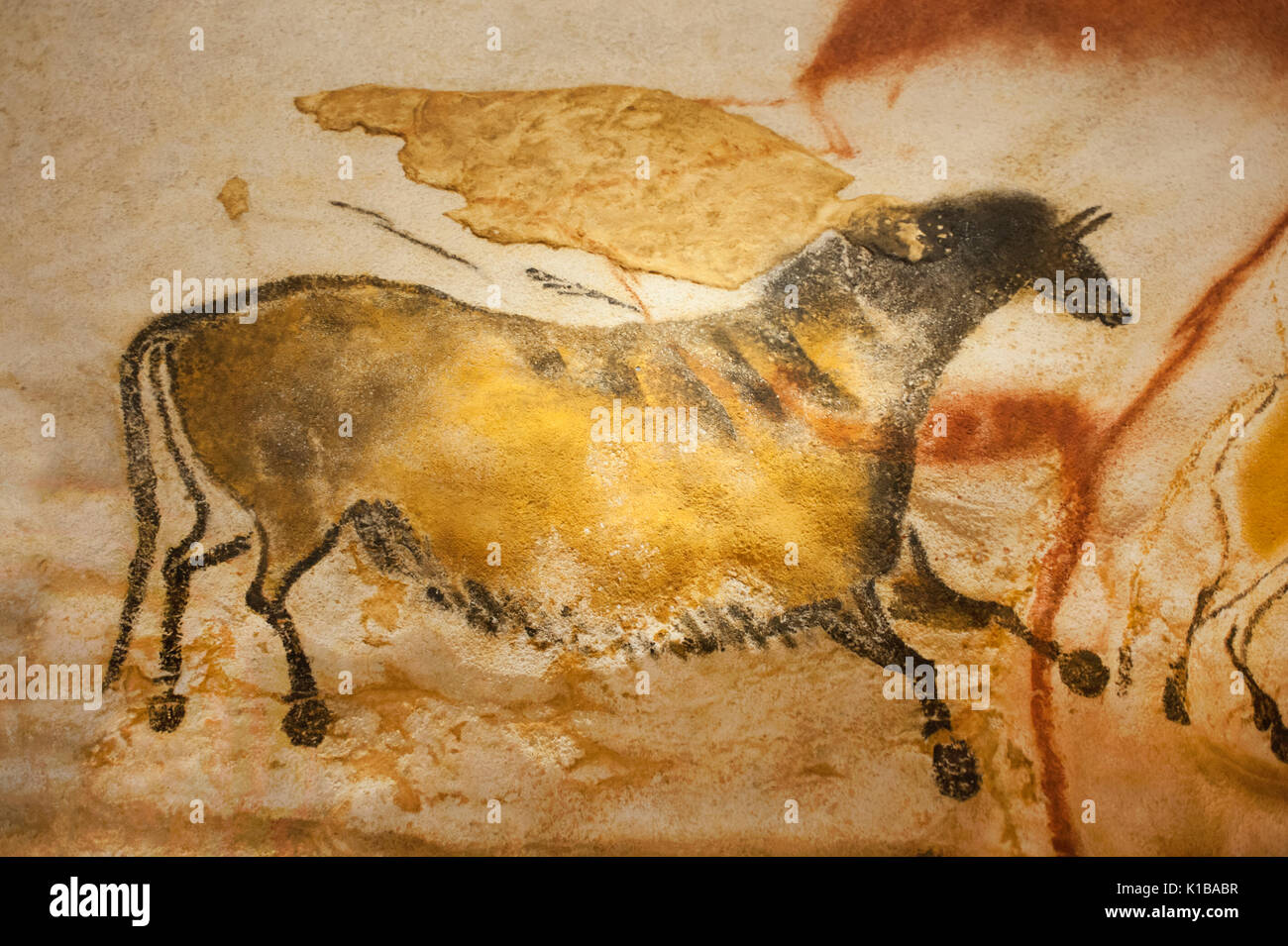 Pitture rupestri preistoriche di cavallo selvaggio, (dun cavallo), Lascaux IV grotte, Perigord, Montignac, Dordogne, Francia Foto Stock