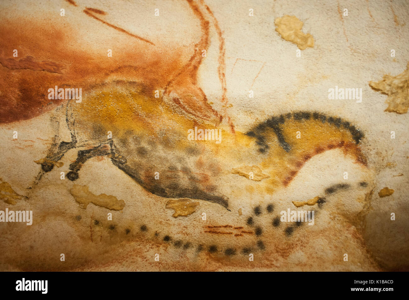 Pitture rupestri preistoriche di cavallo selvaggio, (dun cavallo), Lascaux IV grotte, Perigord, Montignac, Dordogne, Francia Foto Stock