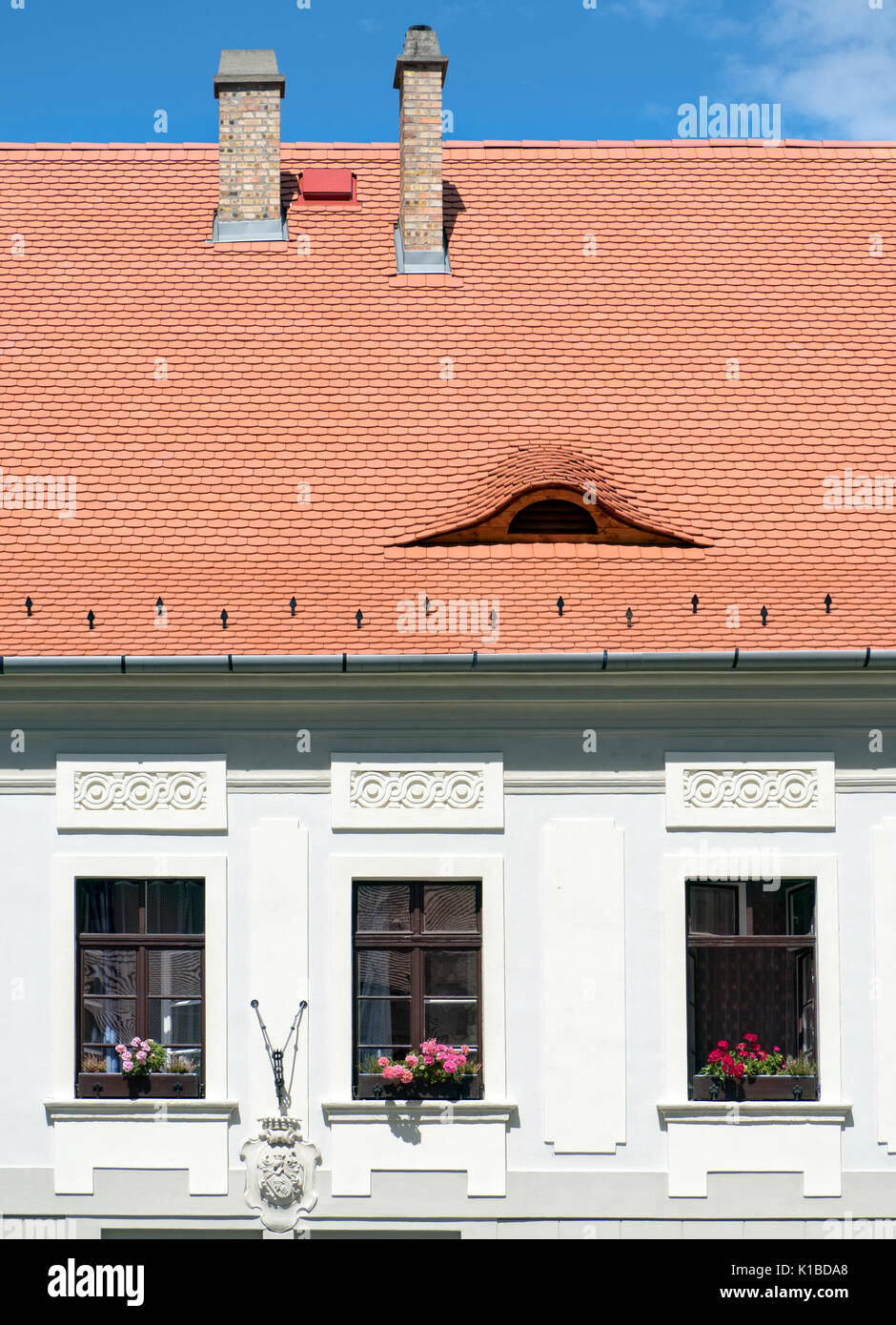 Occhio di vetro sagomato in un tetto di tegole di Budapest, Ungheria Foto Stock