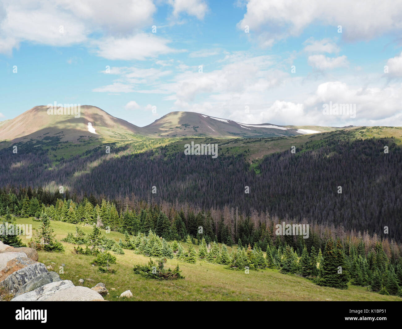 In estate le montagne rocciose del Parco nazionale del Colorado. Overhead è un cielo blu con il bianco puffy nuvole. Foto Stock