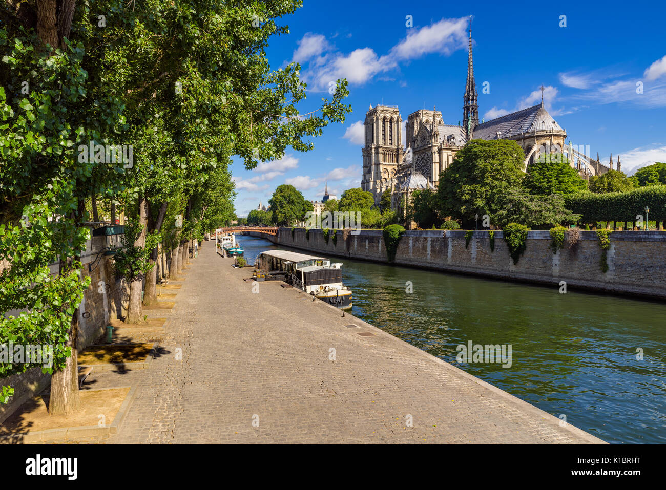 Notre Dame de Paris cathedral sulla Ile de la Cite con la Senna e il Quai de Montebello in estate. Parigi, Francia Foto Stock