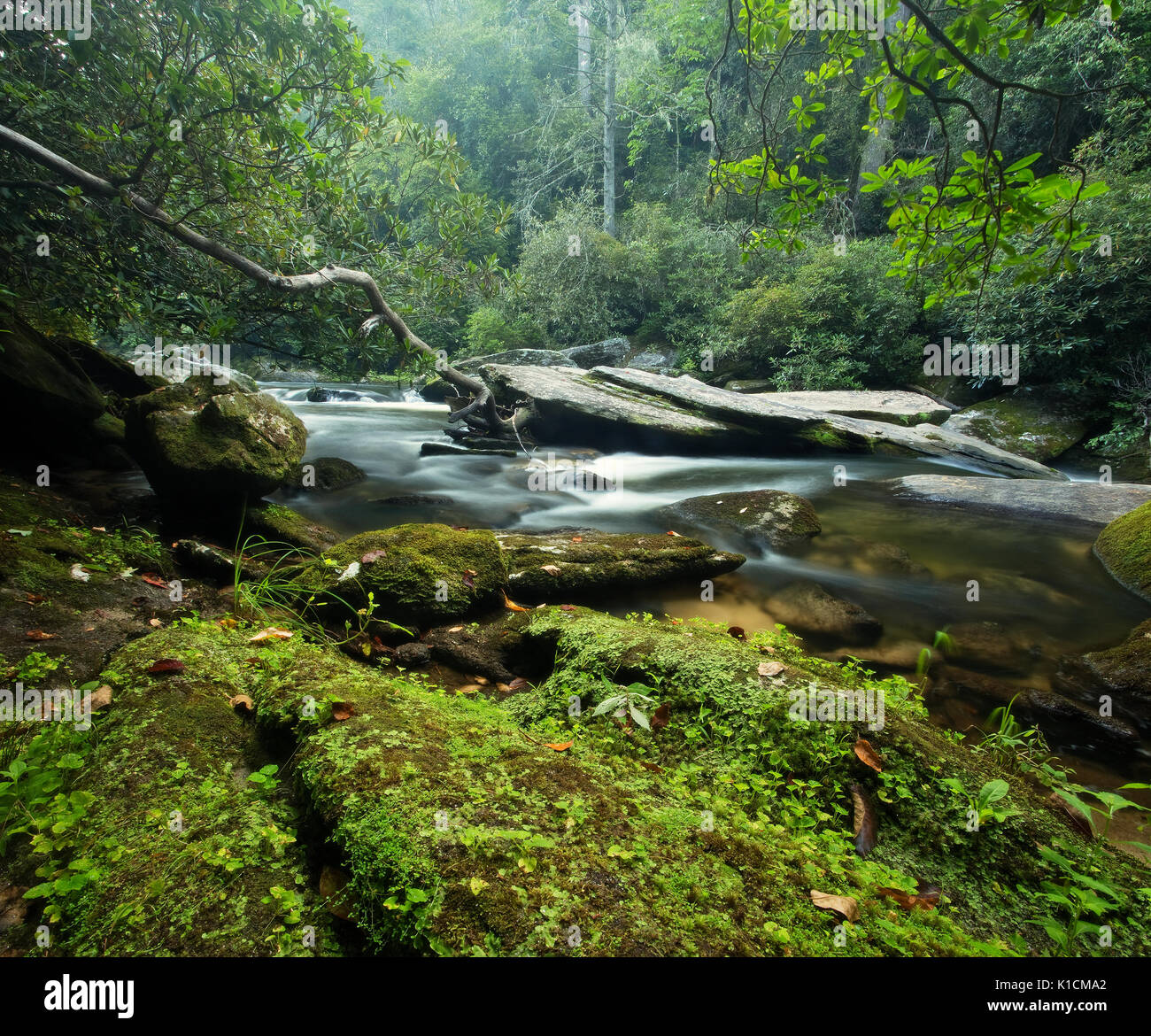 Bellissimo fiume di montagna e grandi massi di granito in lussureggianti foreste dei monti Appalachi in Carolina del Nord Foto Stock