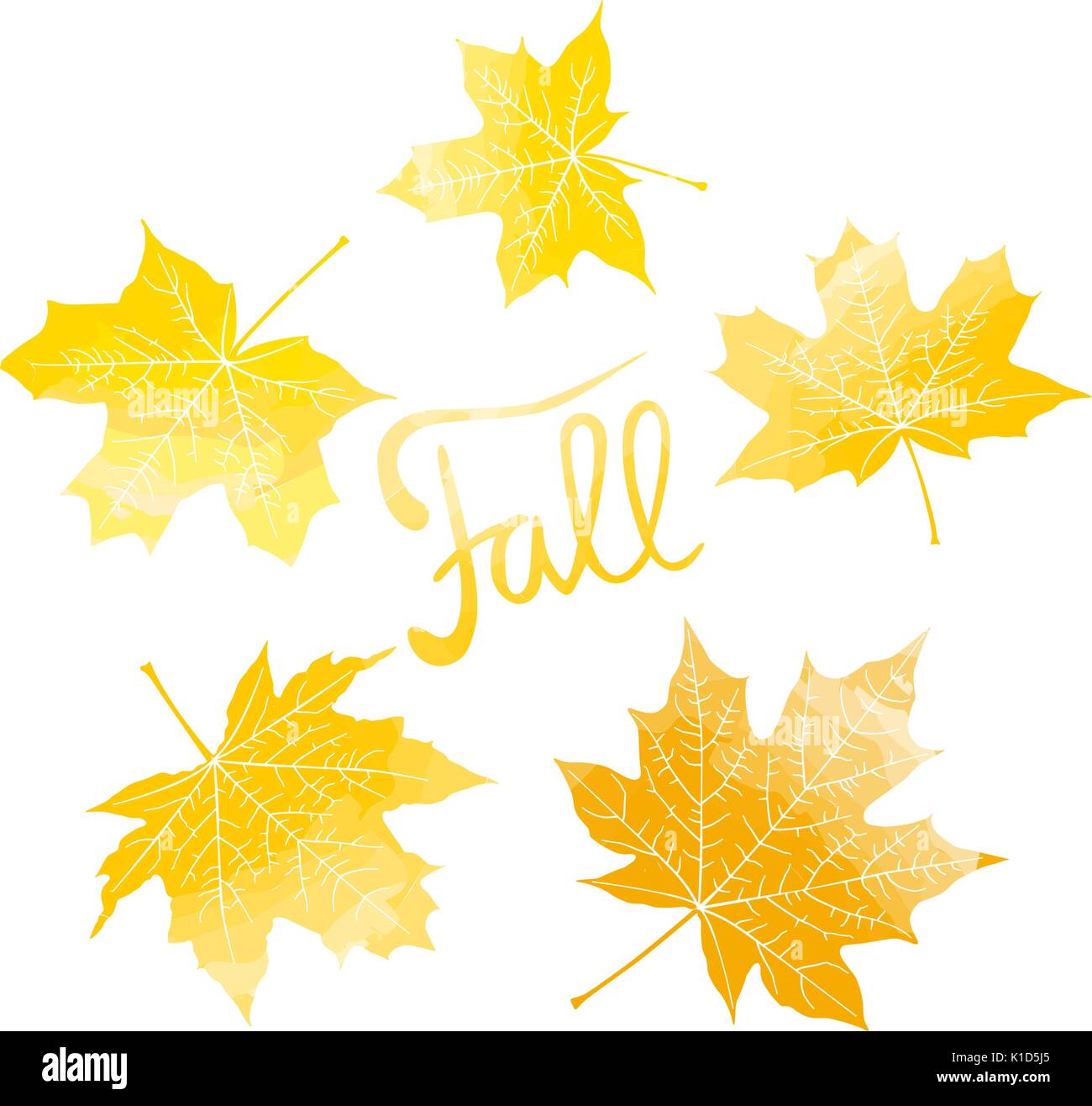 Caduta di scritte e Giallo autunno colorato di foglie di acero acquerello imitazione illustrazione vettoriale Illustrazione Vettoriale
