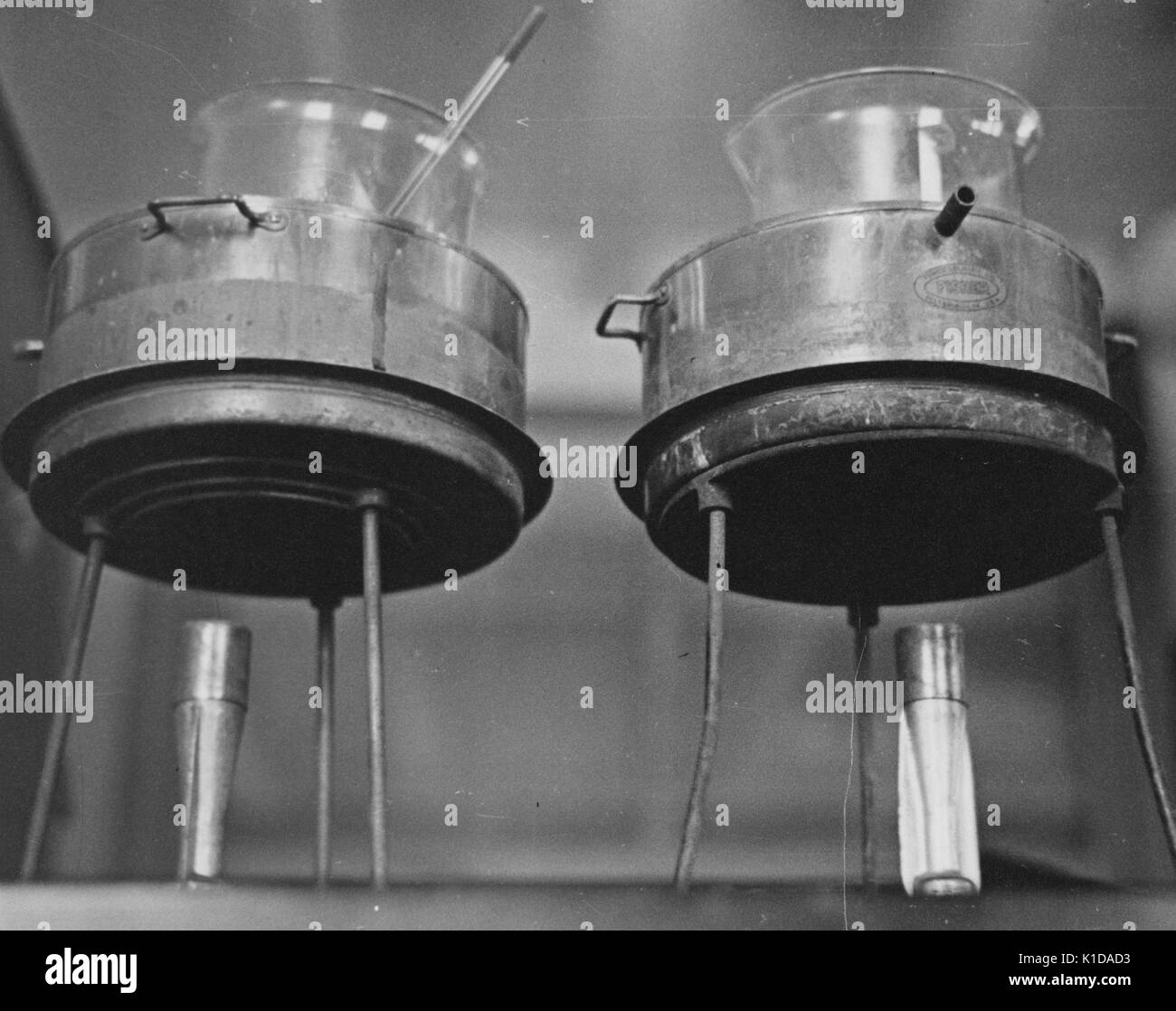 Primo piano di un laboratorio di fermentazione costituito da due bruciatori Bunsen con pentole e becher in essi, uno dei quali sembra avere un termometro in esso, Prince Georges County, Beltsville, Maryland, 1935. Dalla Biblioteca pubblica di New York. Foto Stock