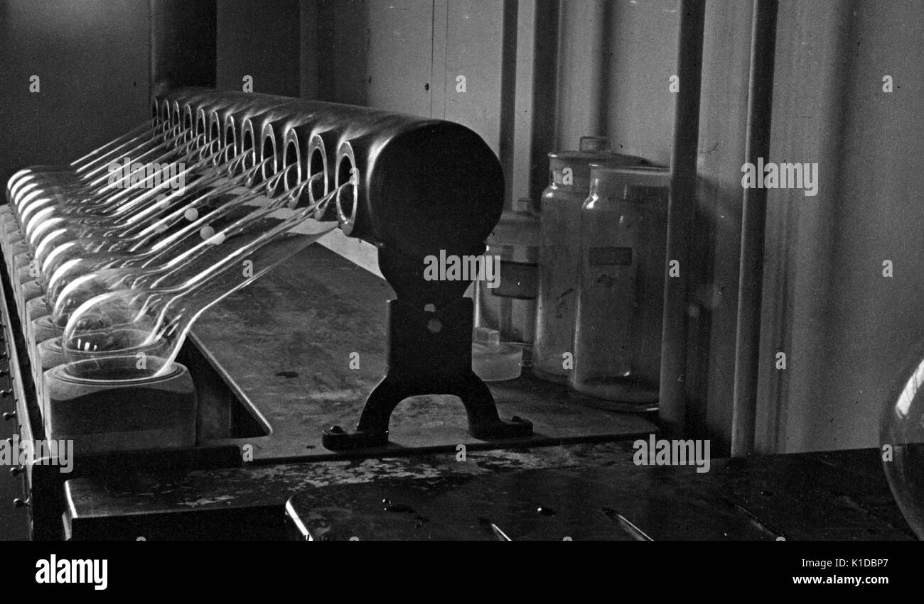 Le righe di lunghe matracci a collo attaccato ad un apparecchio scientifico in un crescendo di patate laboratorio ad un reparto di Stati Uniti dell'agricoltura fattoria sperimentale, Beltsville, Maryland, 1935. dalla biblioteca pubblica di new york. Foto Stock